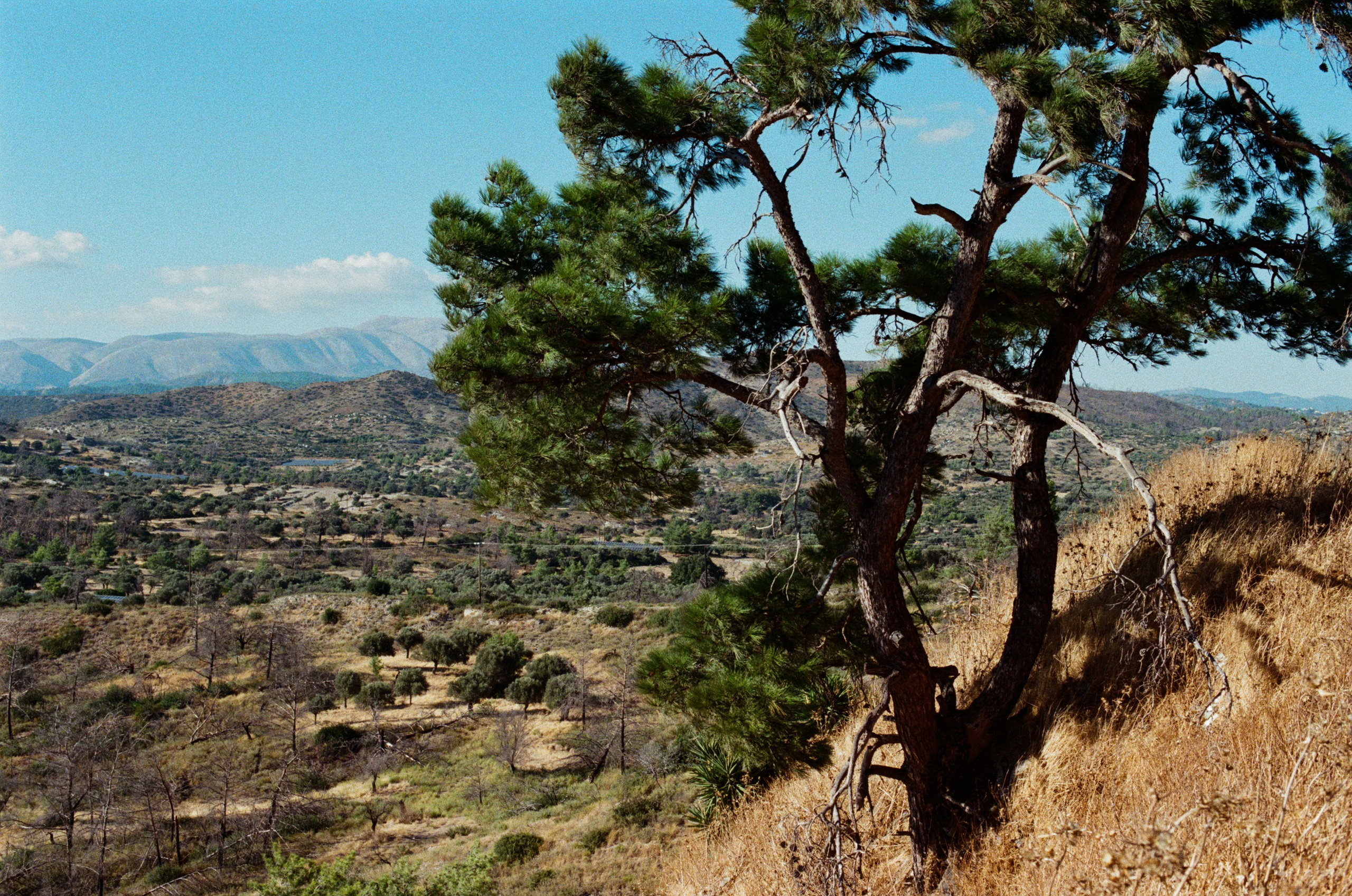 Hush // greece, rhodes. EVER EXPOSED