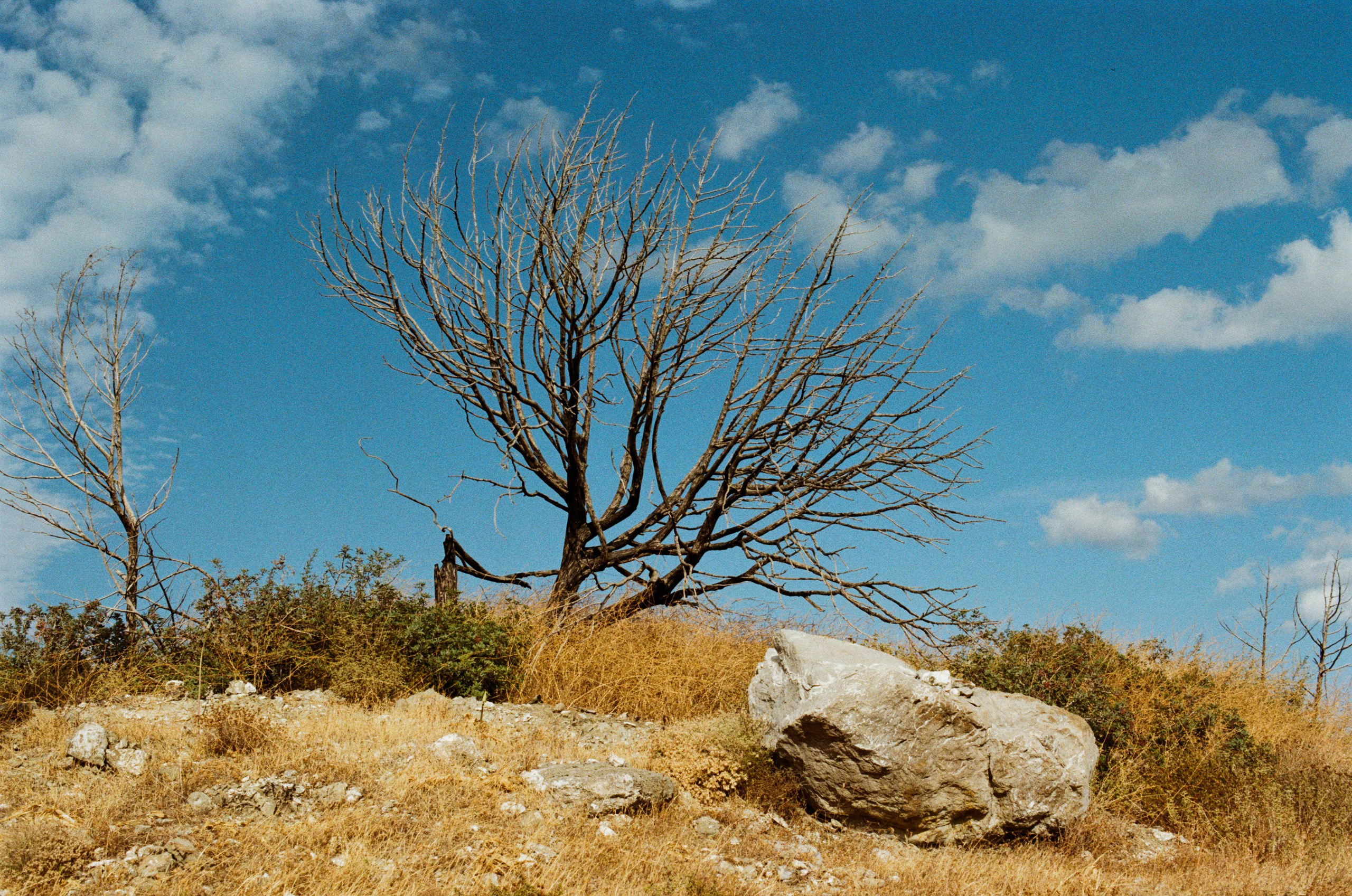 Cryogen // greece, rhodes IV. EVER EXPOSED