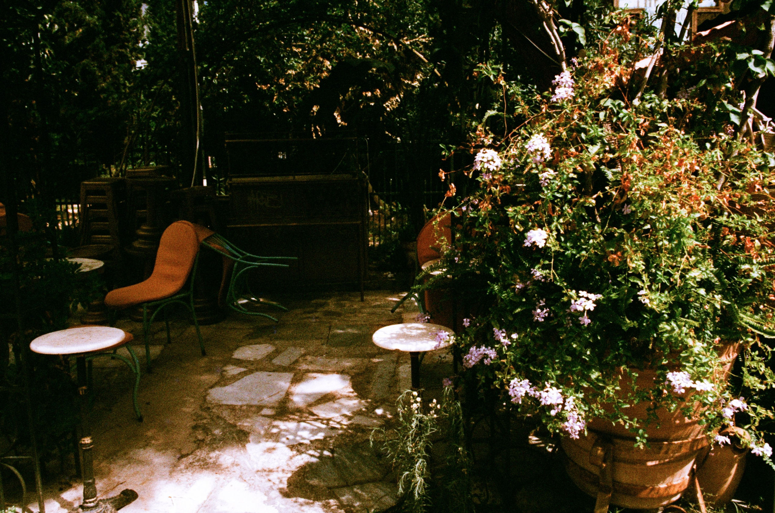 Shimmering scars // greece, athens. EVER EXPOSED