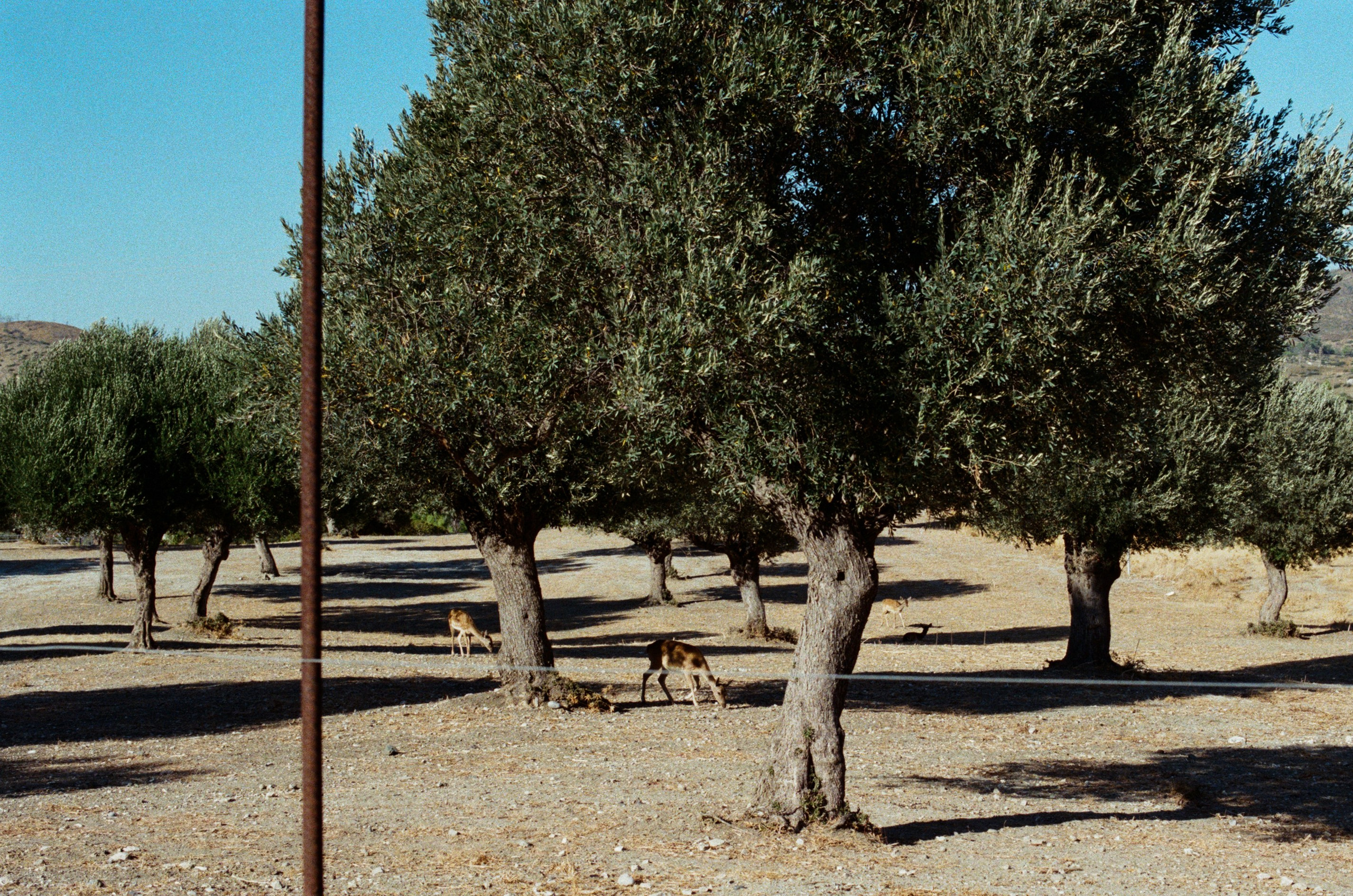 Hush // greece, rhodes II. EVER EXPOSED