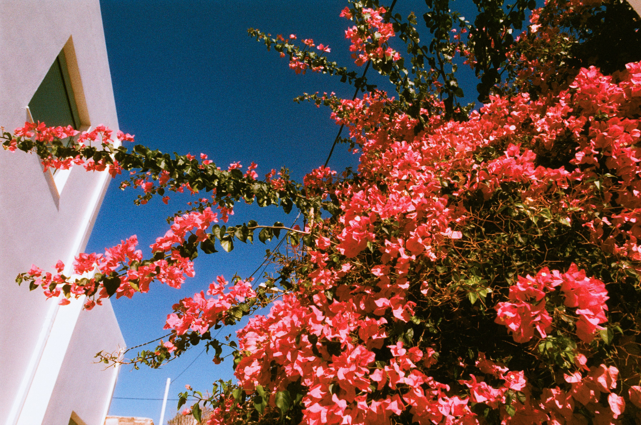 Cryogen // greece, rhodes VI. EVER EXPOSED