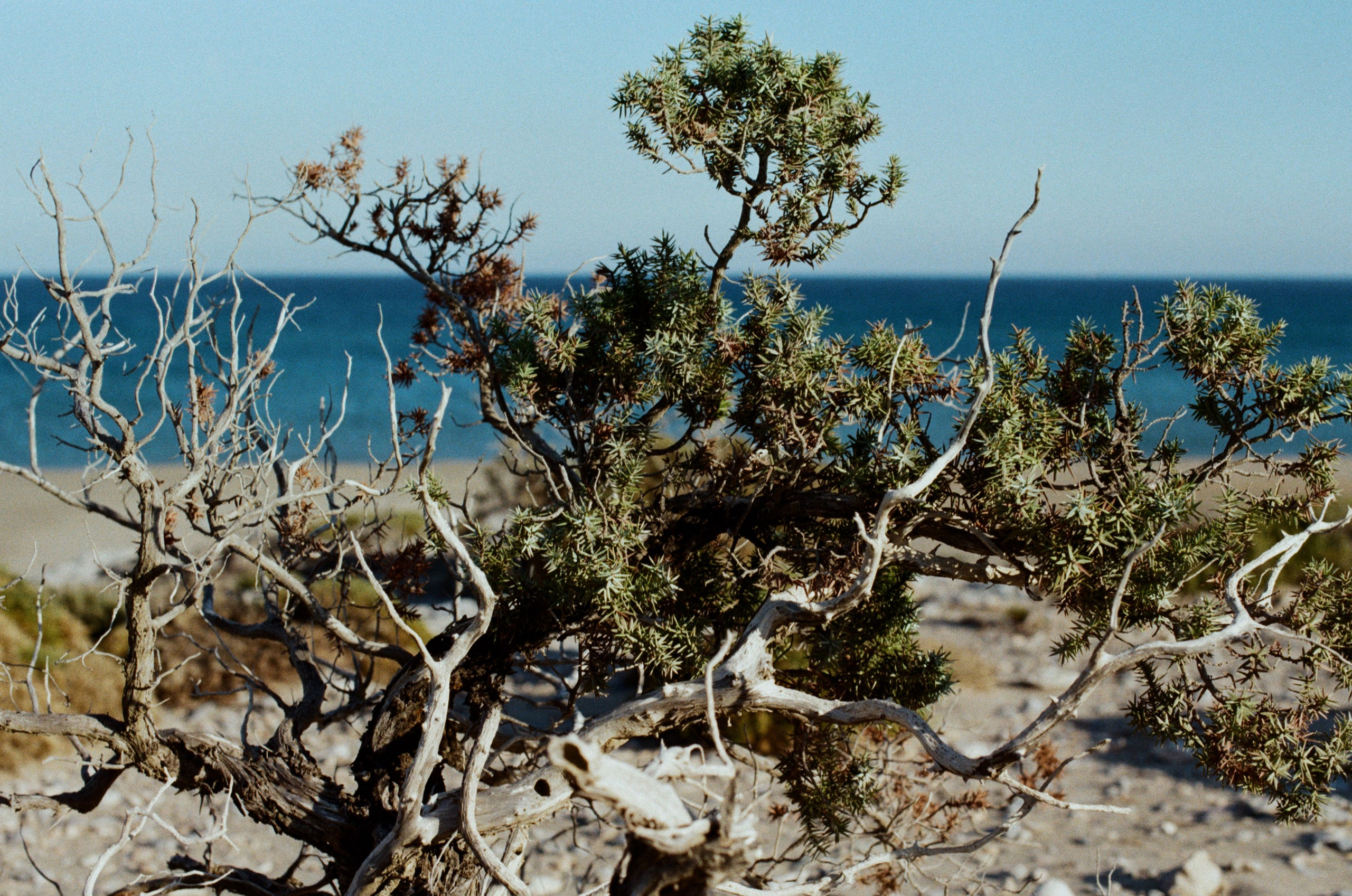 Cryogen // greece, rhodes II. EVER EXPOSED