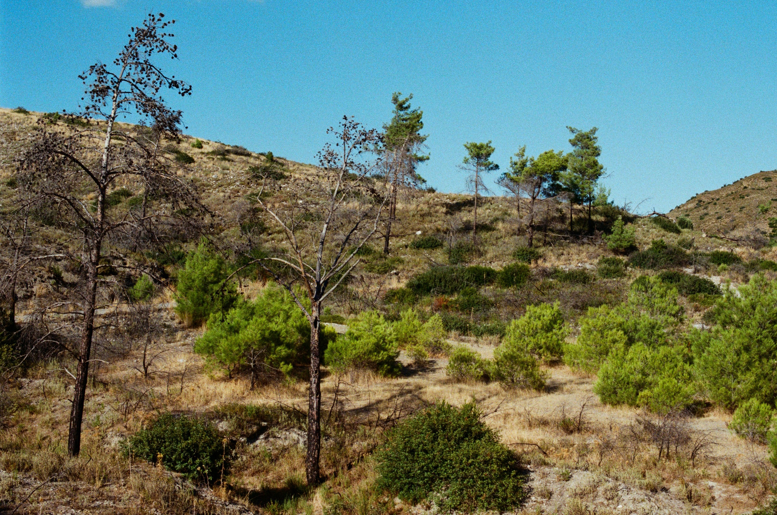 Hush // greece, rhodes II. EVER EXPOSED
