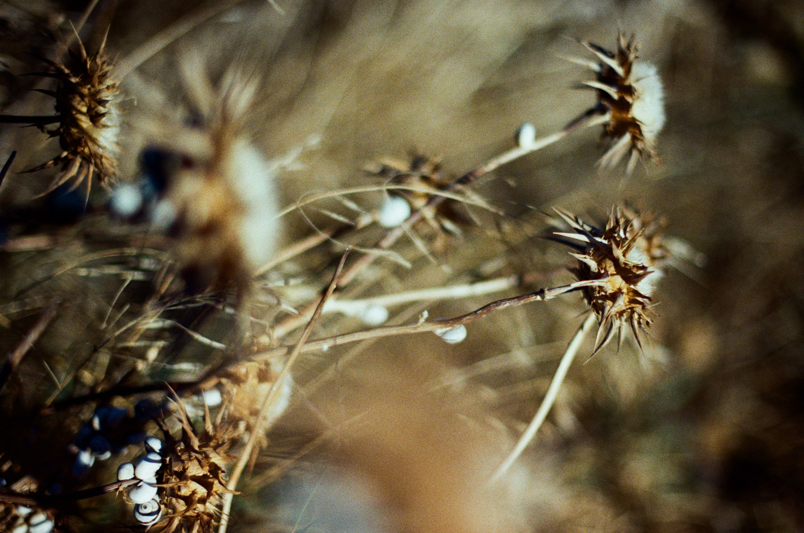 Shimmering scars // greece, naxos IV. EVER EXPOSED