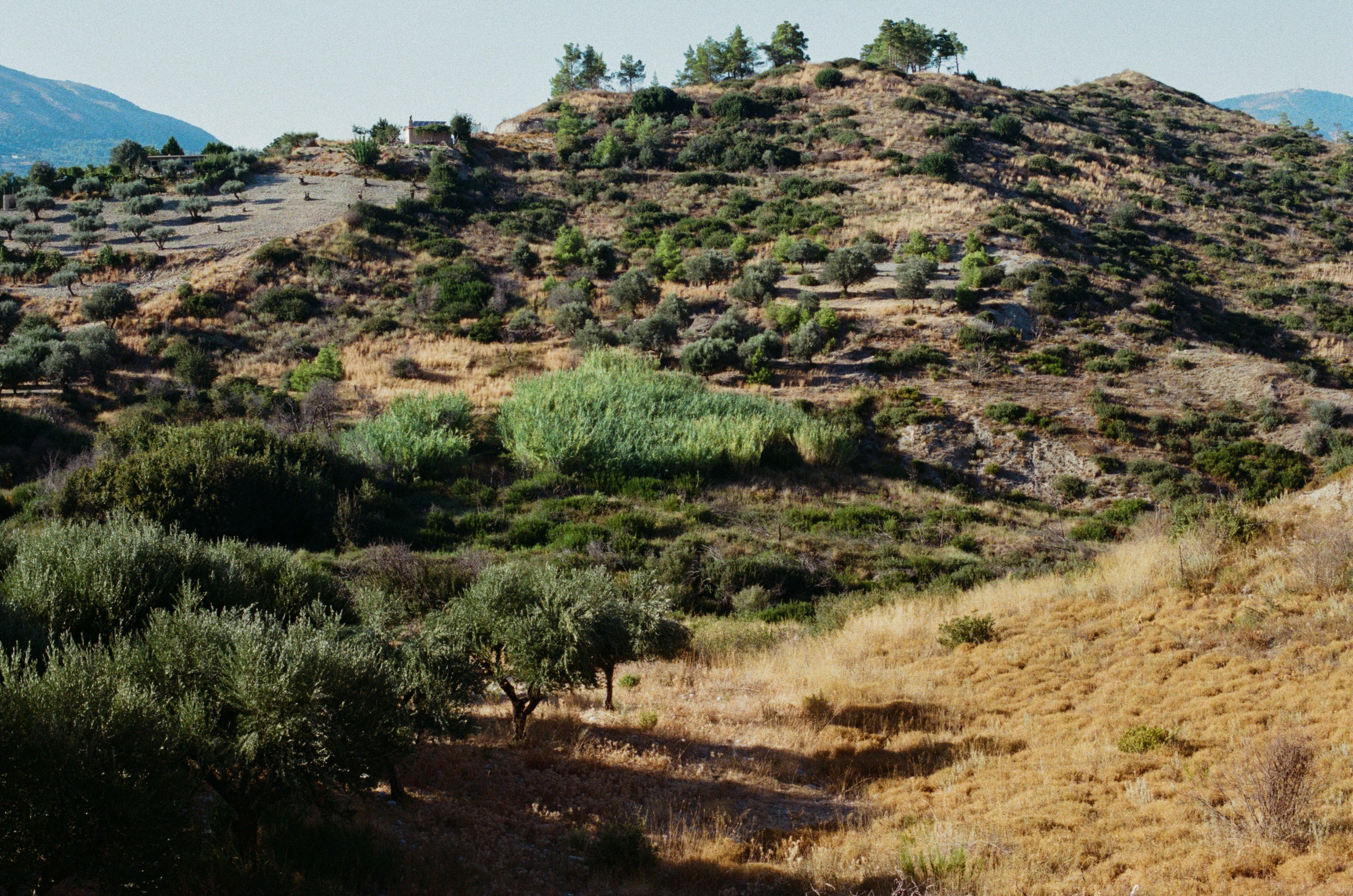 Hush // greece, rhodes. EVER EXPOSED