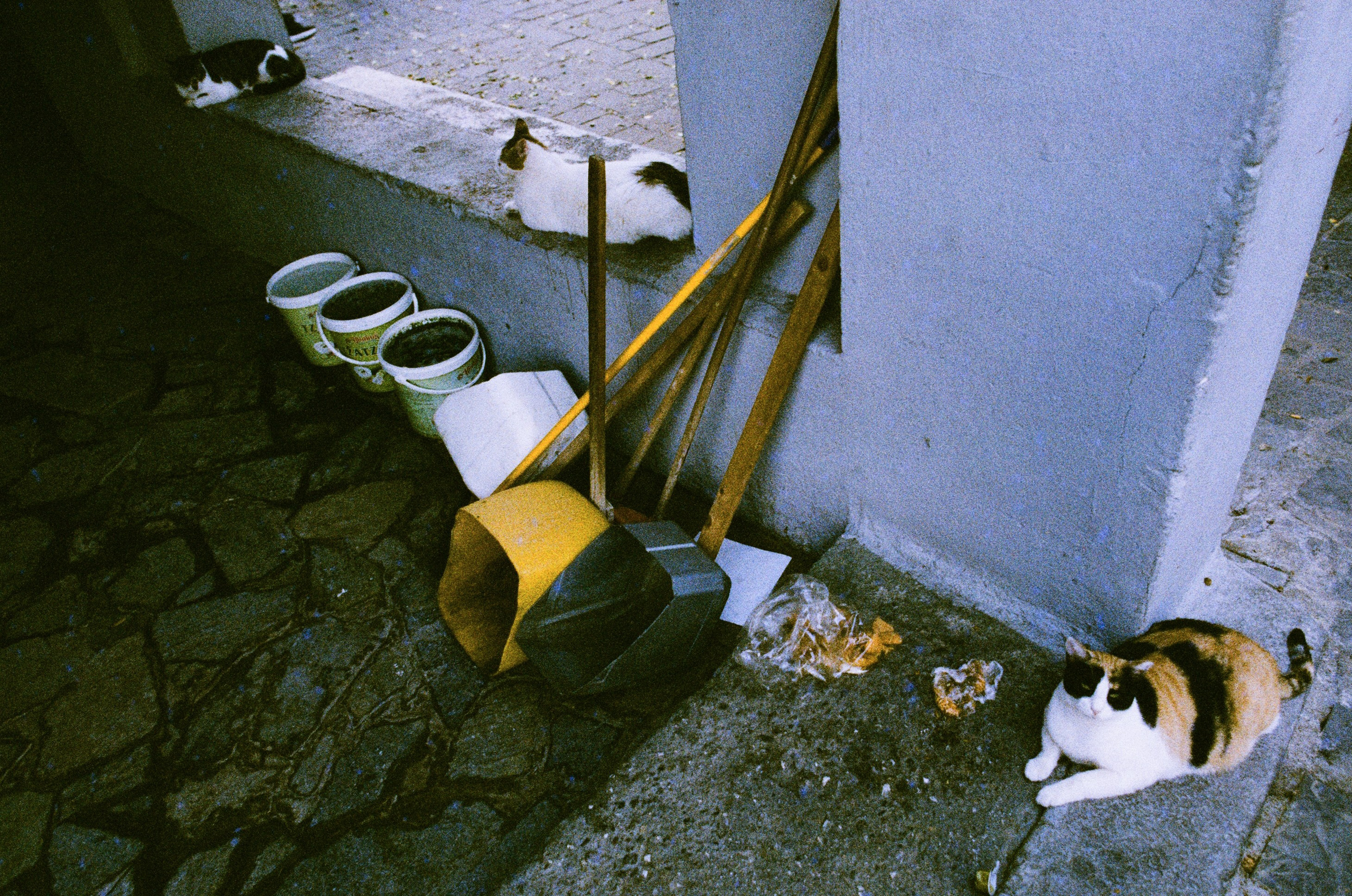 The sickness in you and i // greece, rhodes IV. EVER EXPOSED