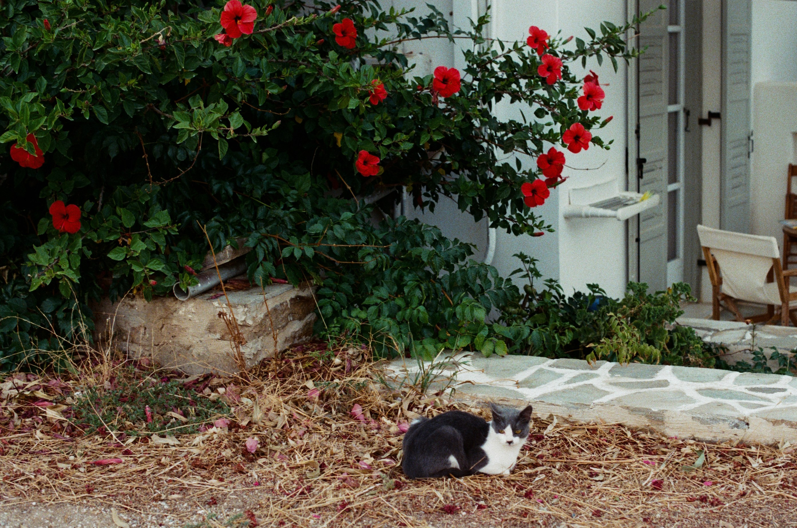 Shimmering scars // greece, naxos III. EVER EXPOSED