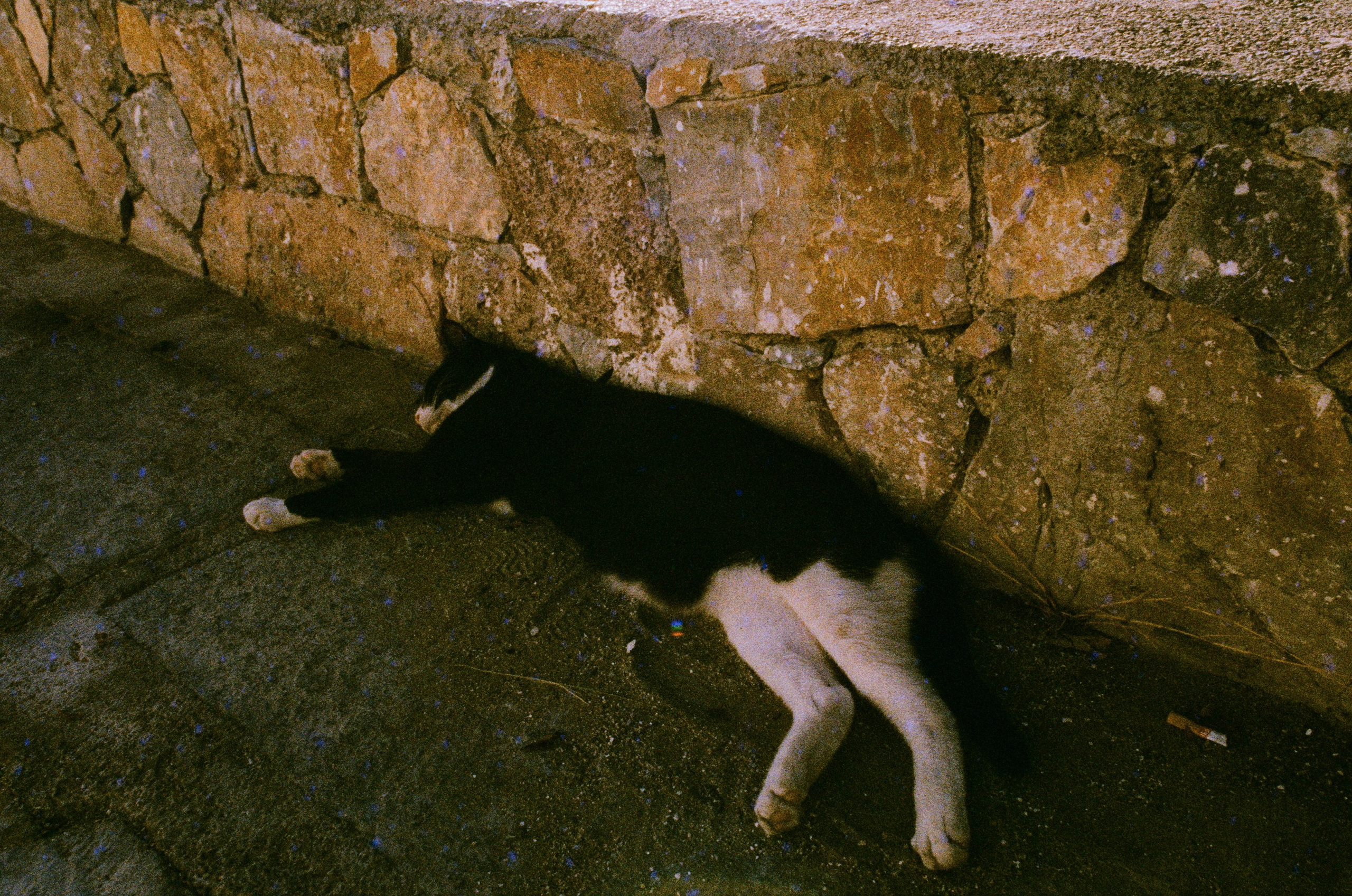 The sickness in you and i // greece, rhodes IV. EVER EXPOSED