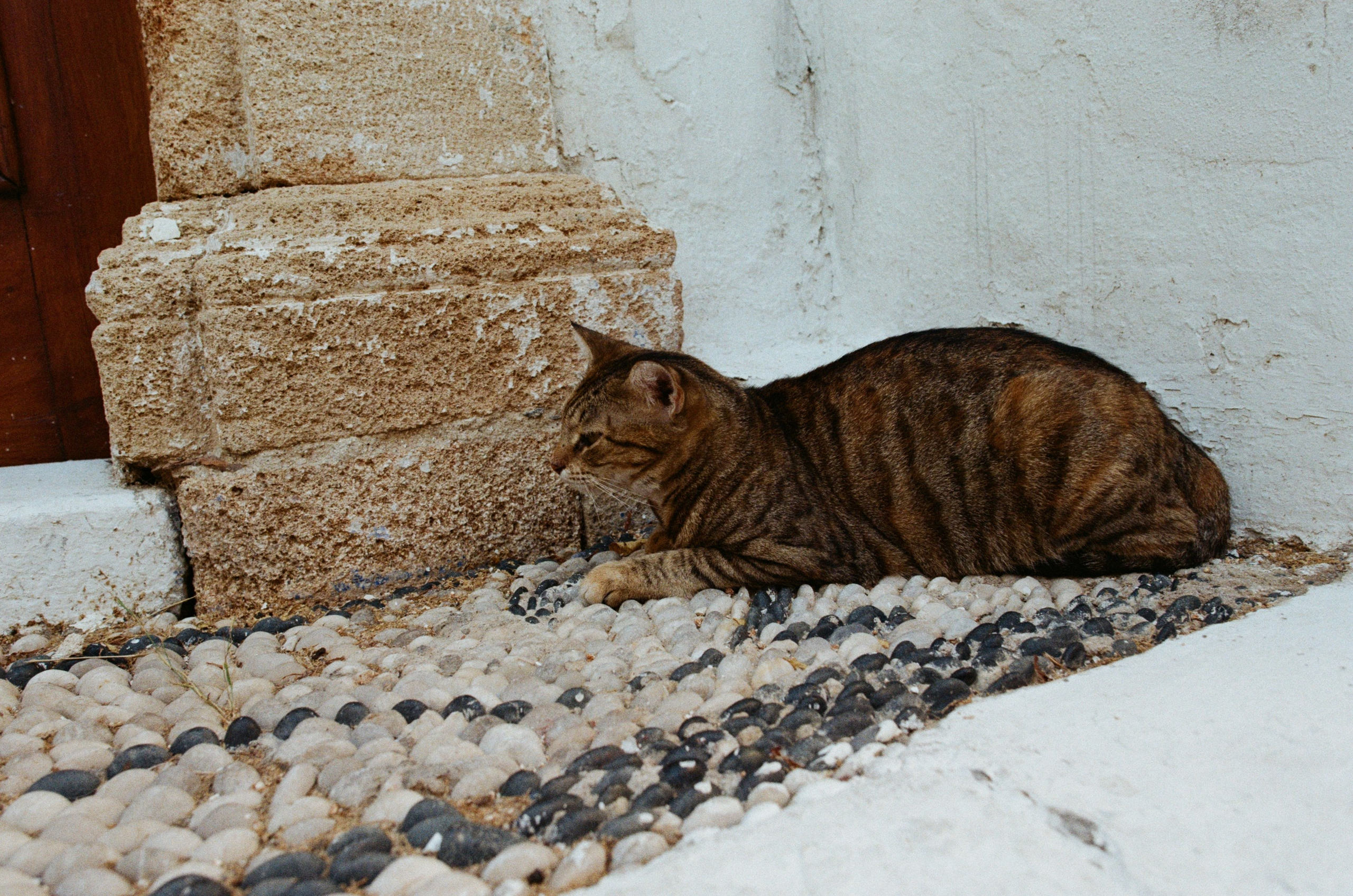 The sickness in you and i // greece, rhodes. EVER EXPOSED
