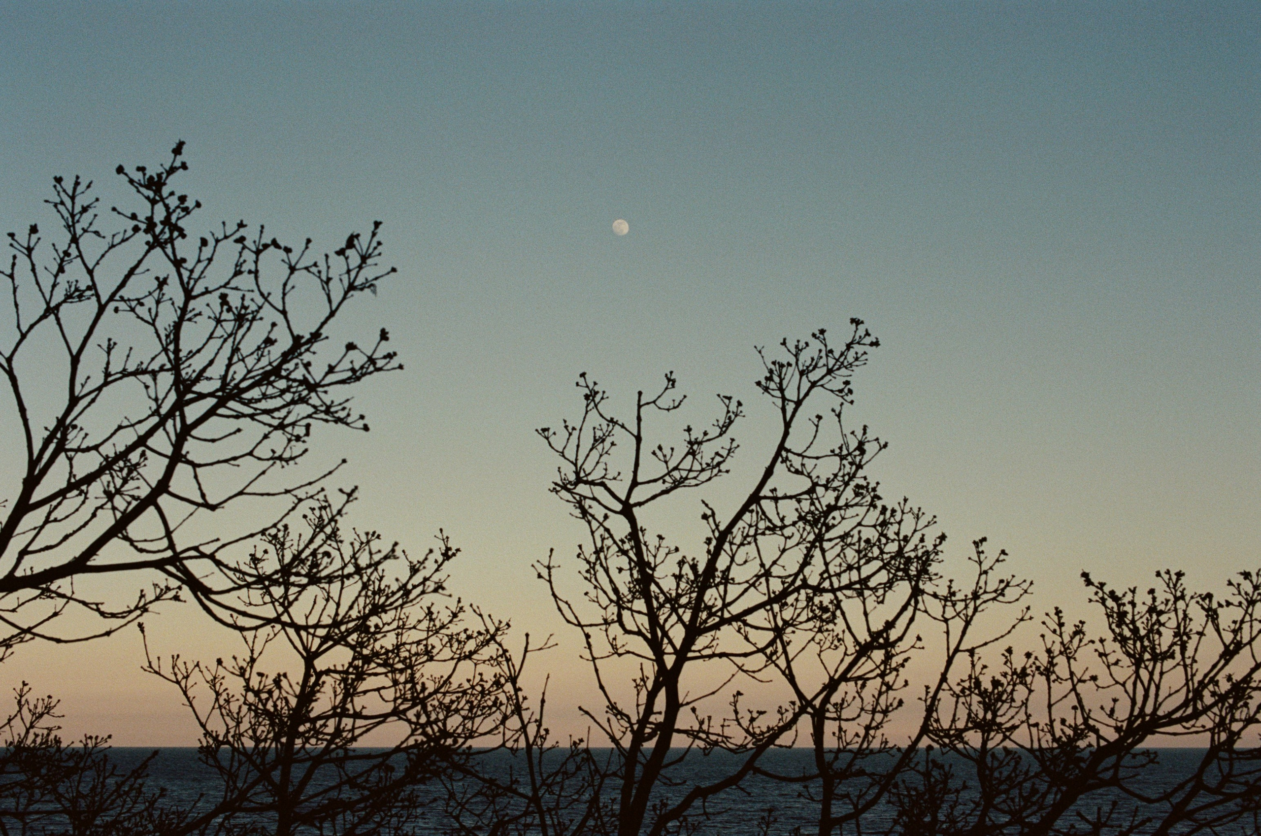 Silent running // ukraine, crimea II. EVER EXPOSED