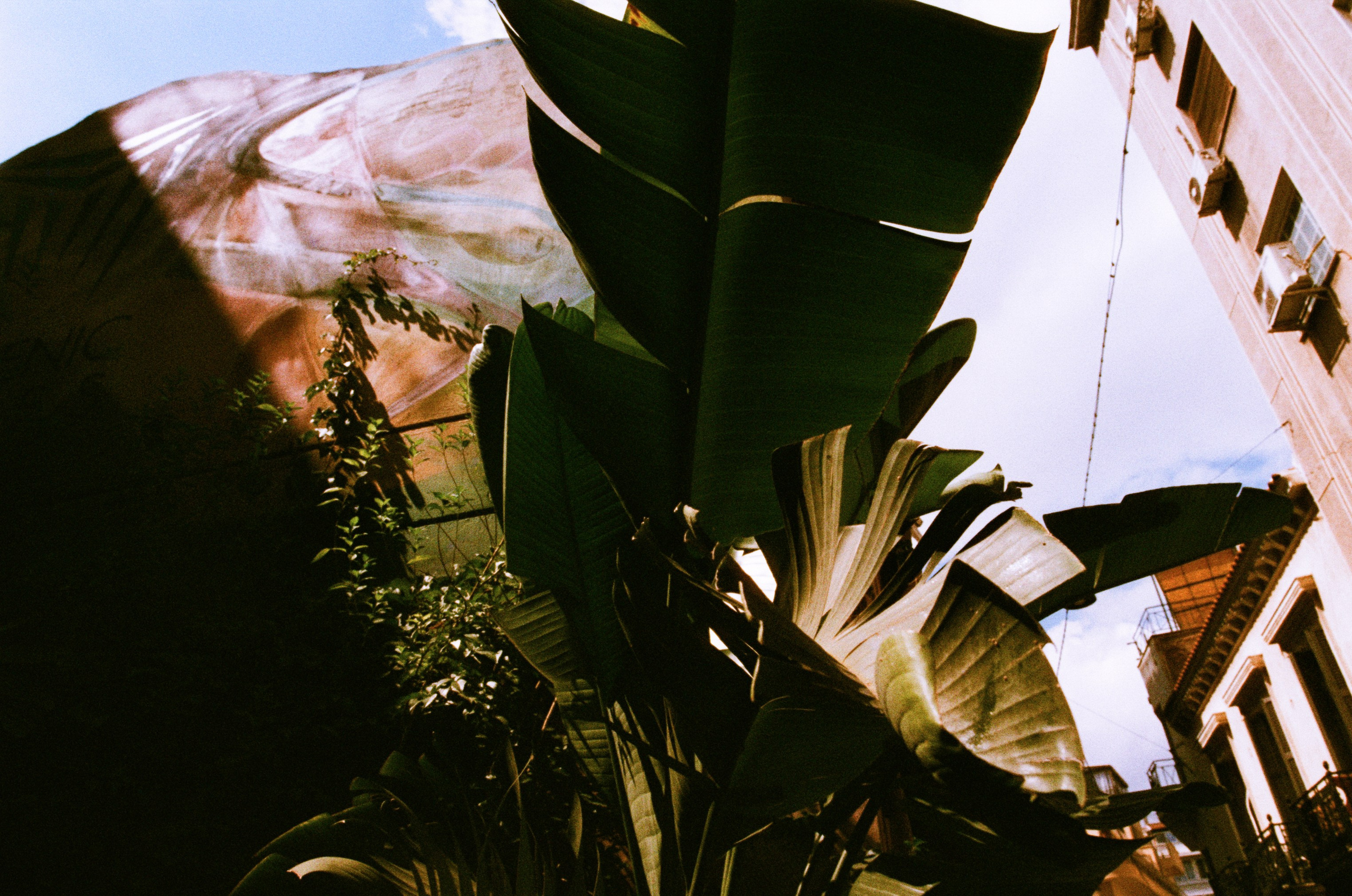Shimmering scars // greece, athens II. EVER EXPOSED