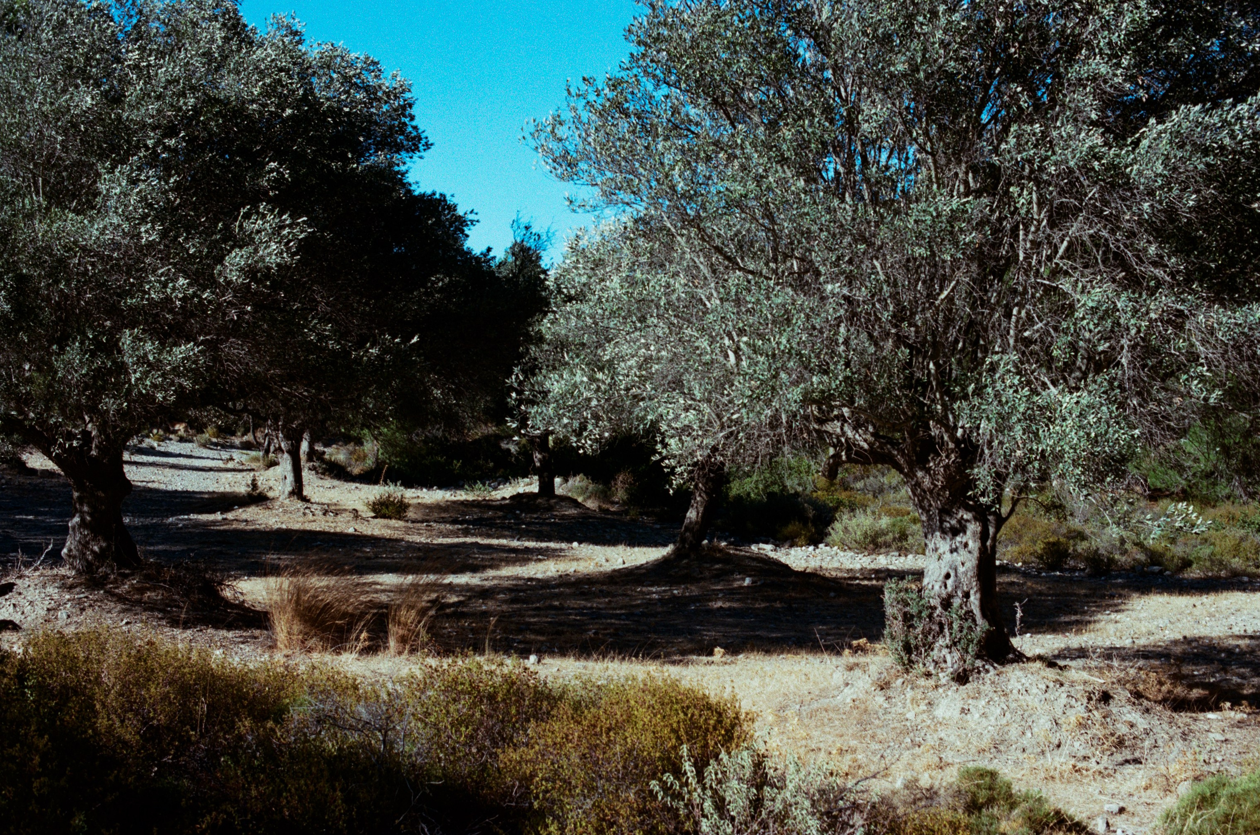 Cryogen // greece, rhodes III. EVER EXPOSED