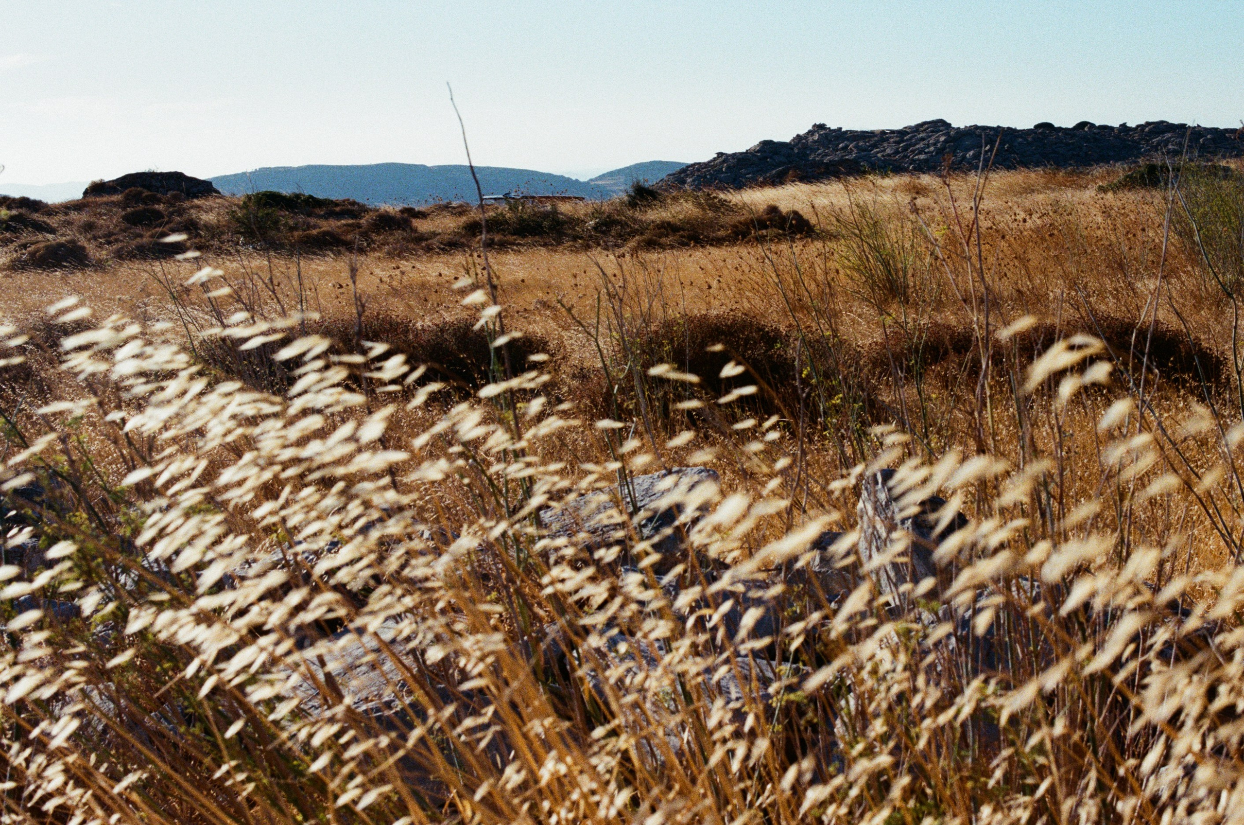 Shimmering scars // greece, naxos III. EVER EXPOSED