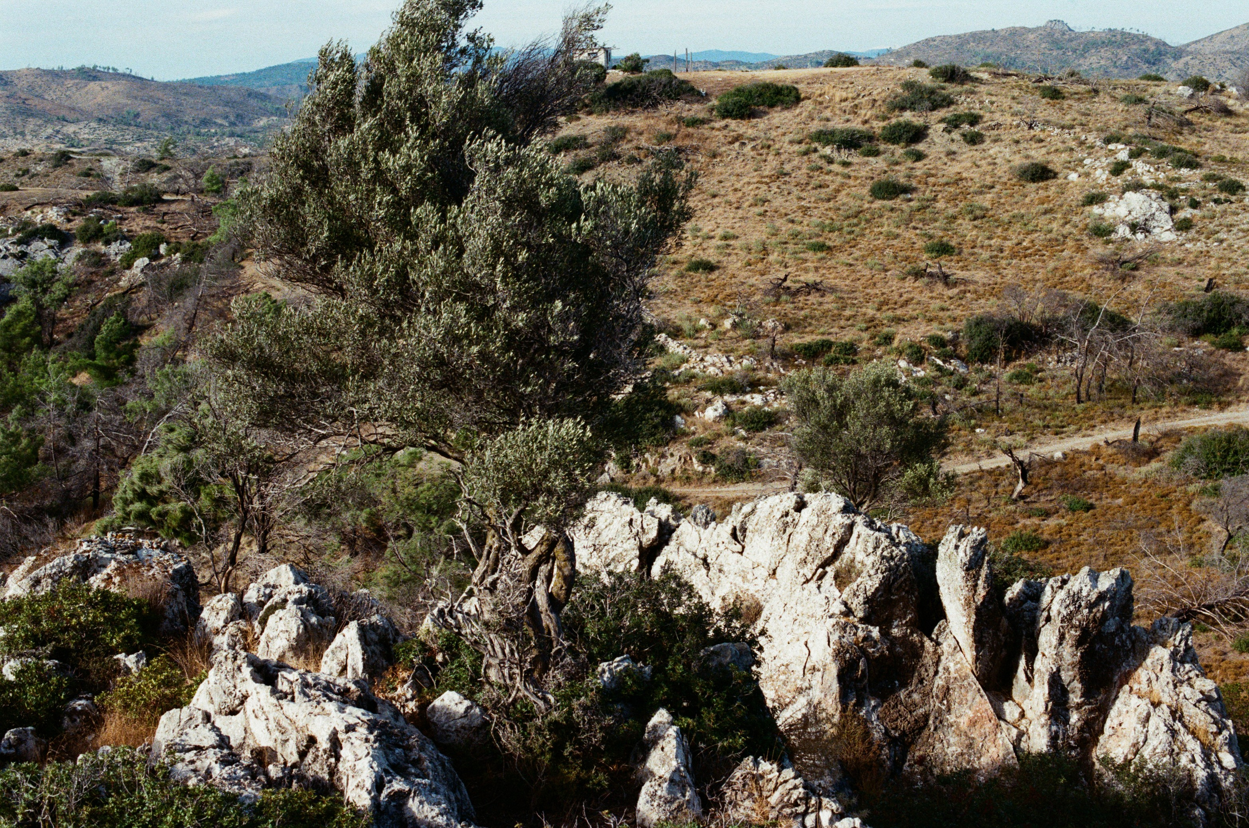 Hush // greece, rhodes V. EVER EXPOSED