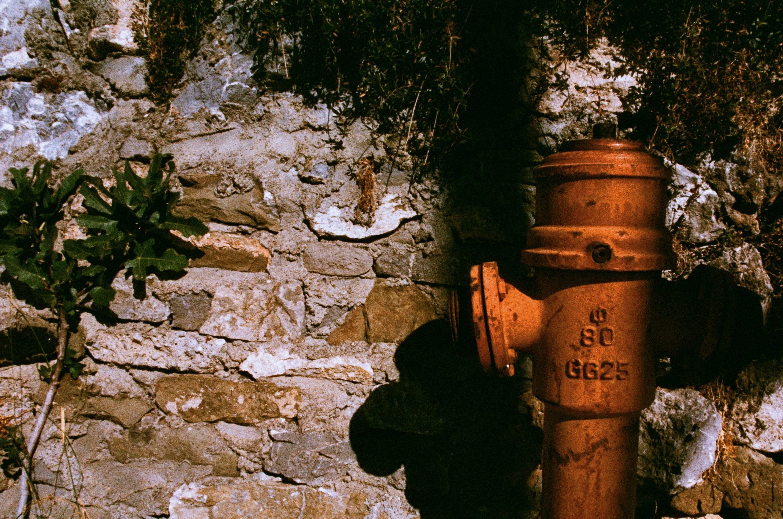 Cryogen // greece, rhodes VI. EVER EXPOSED