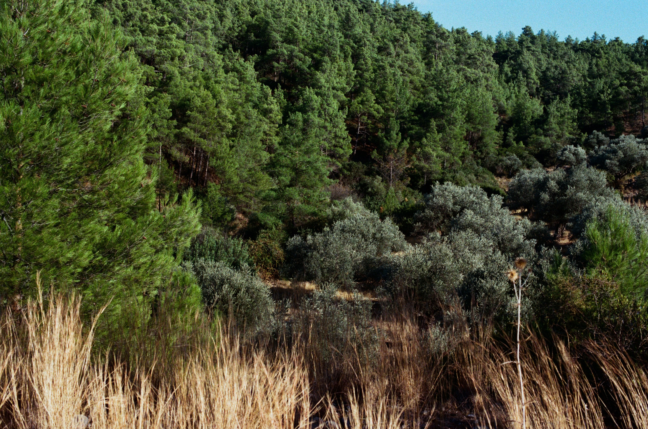 Hush // greece, rhodes V. EVER EXPOSED