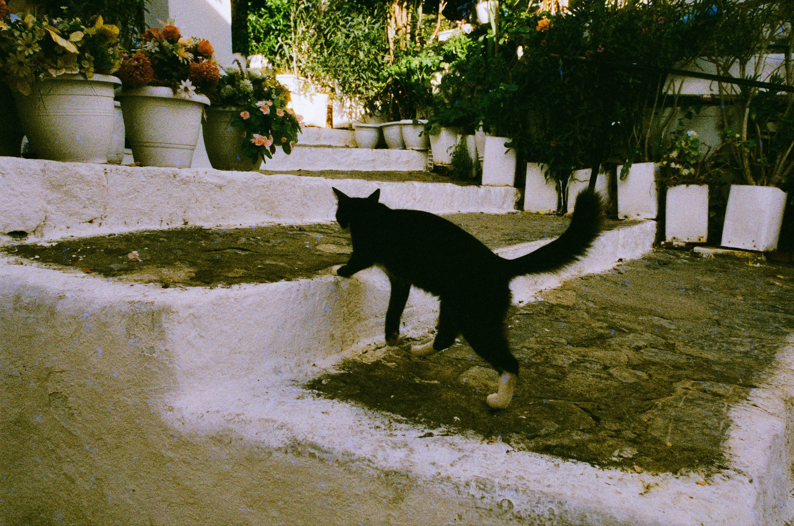 Hush // greece, rhodes III. EVER EXPOSED