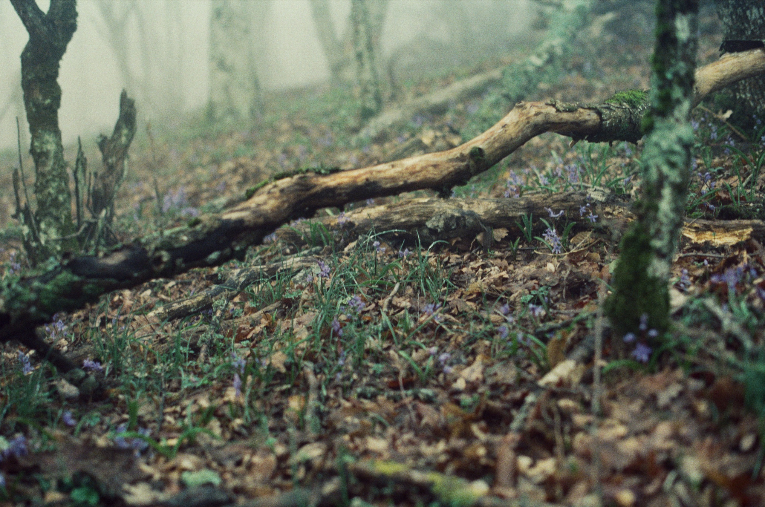 Some kind of madness // ukraine, crimea. EVER EXPOSED