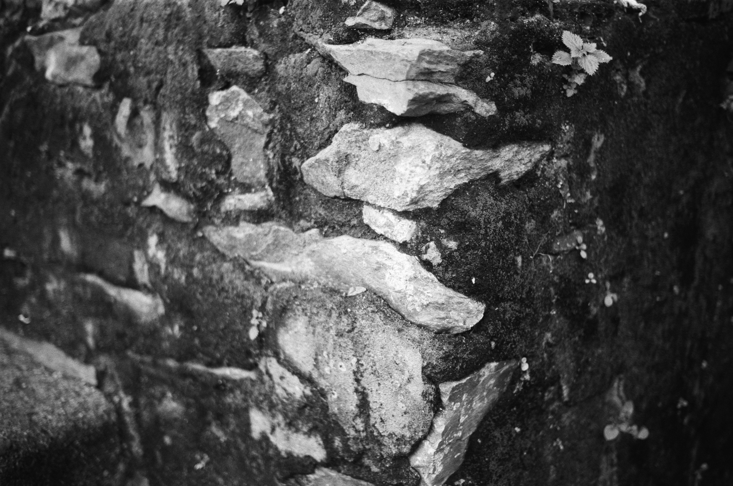 Spanish sahara // spain, caceres II. EVER EXPOSED