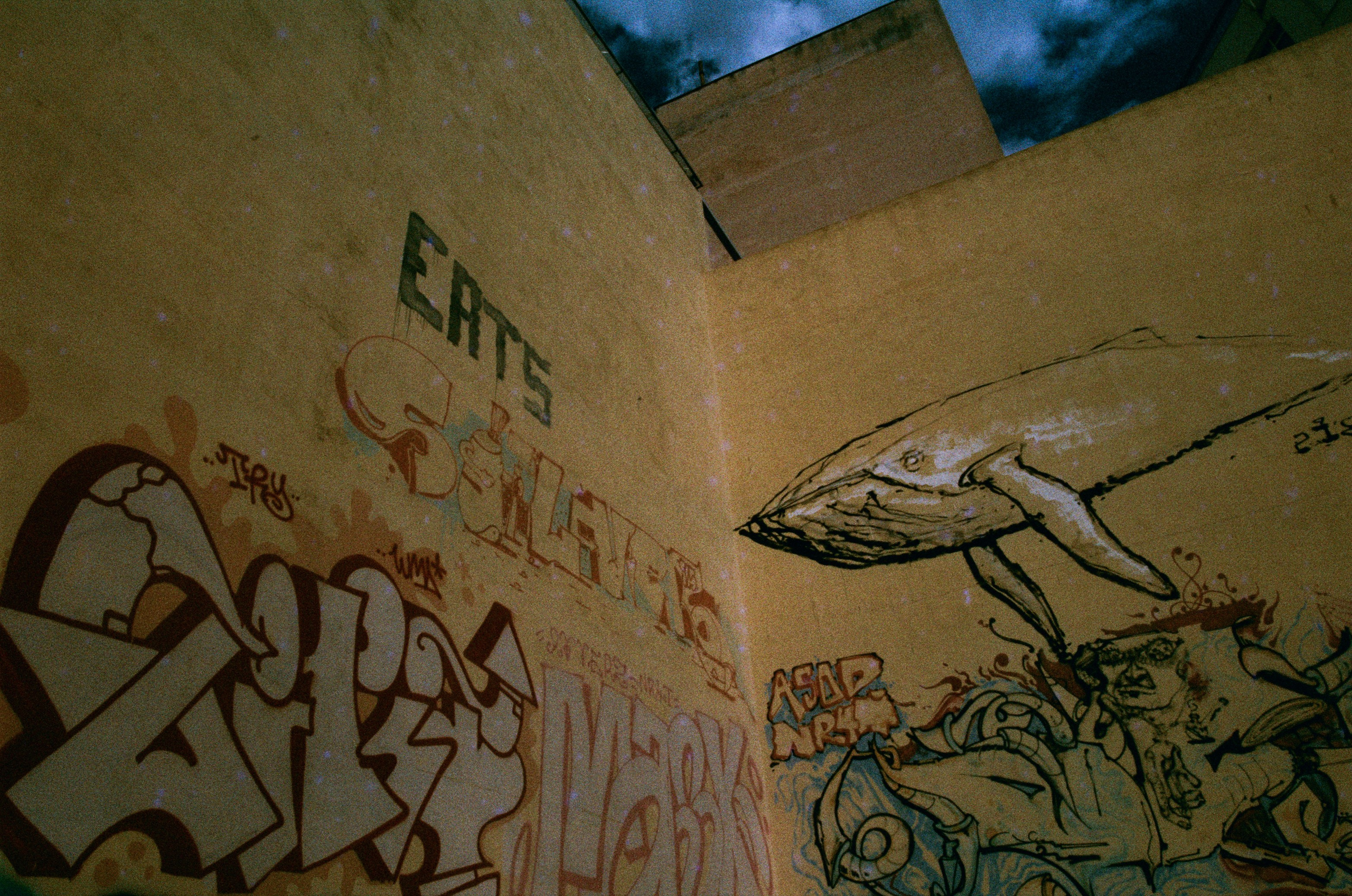 Shimmering scars // greece, athens. EVER EXPOSED