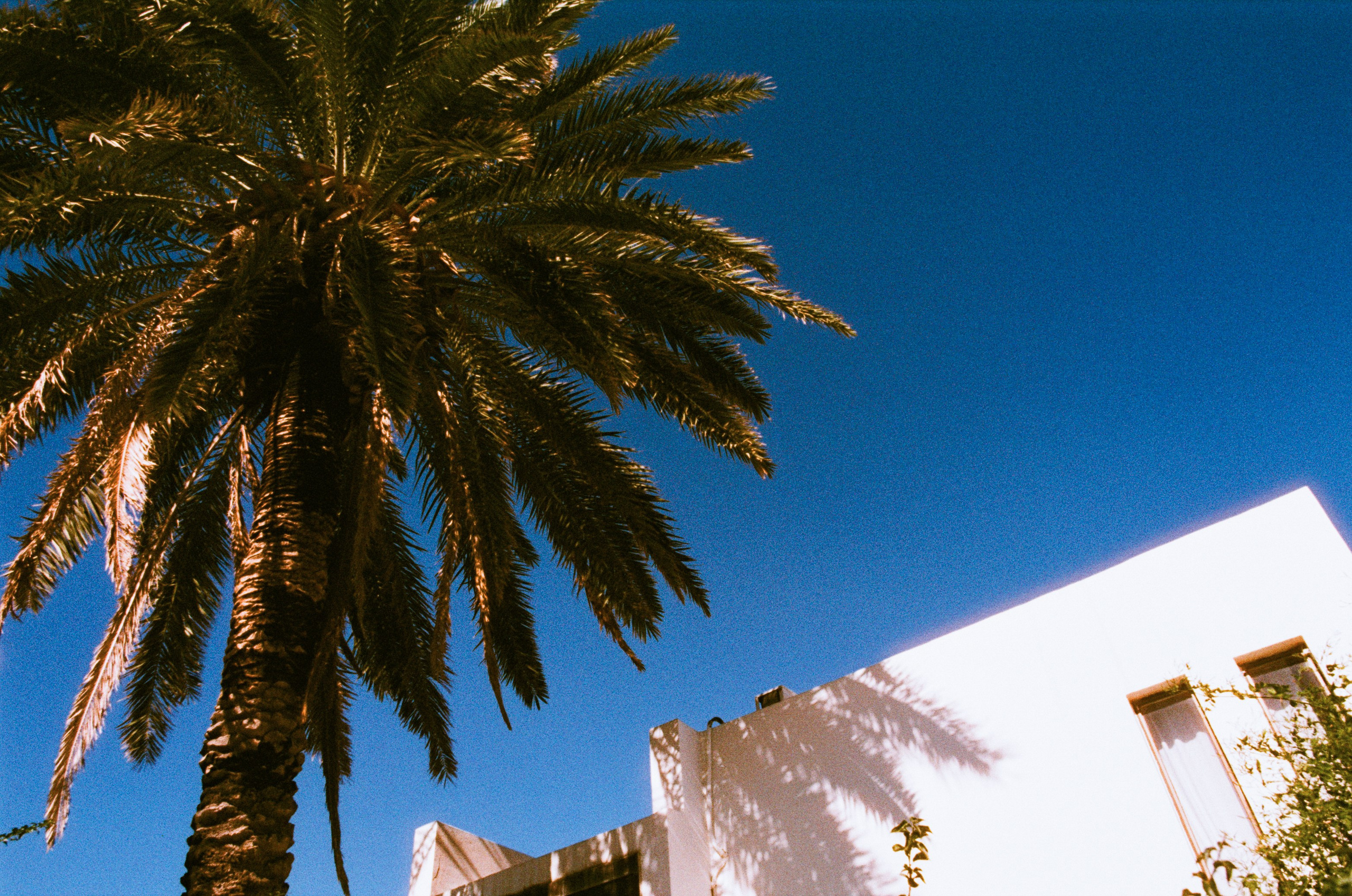 Cryogen // greece, rhodes VI. EVER EXPOSED