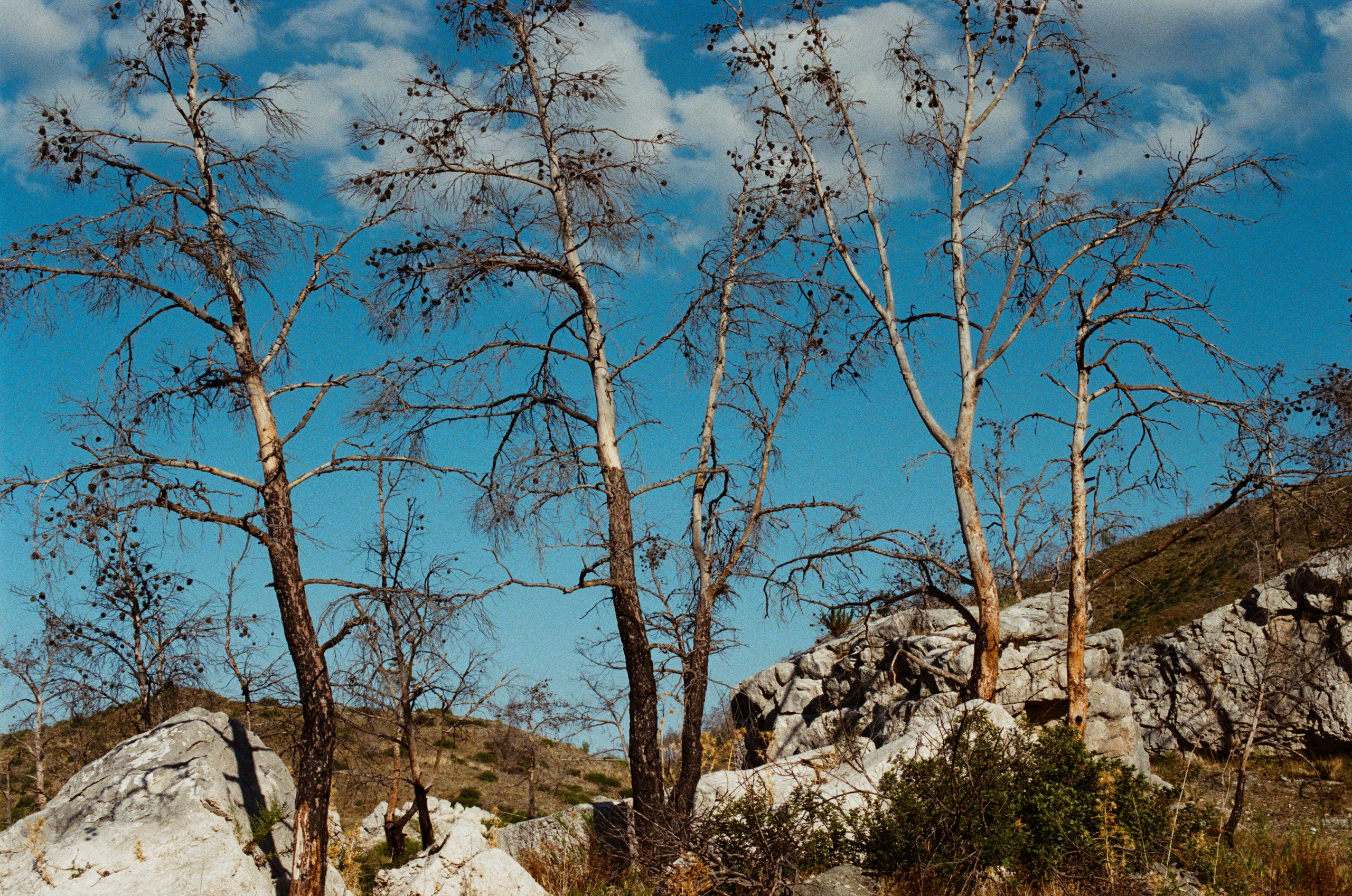 The sickness in you and i // greece, rhodes III. EVER EXPOSED
