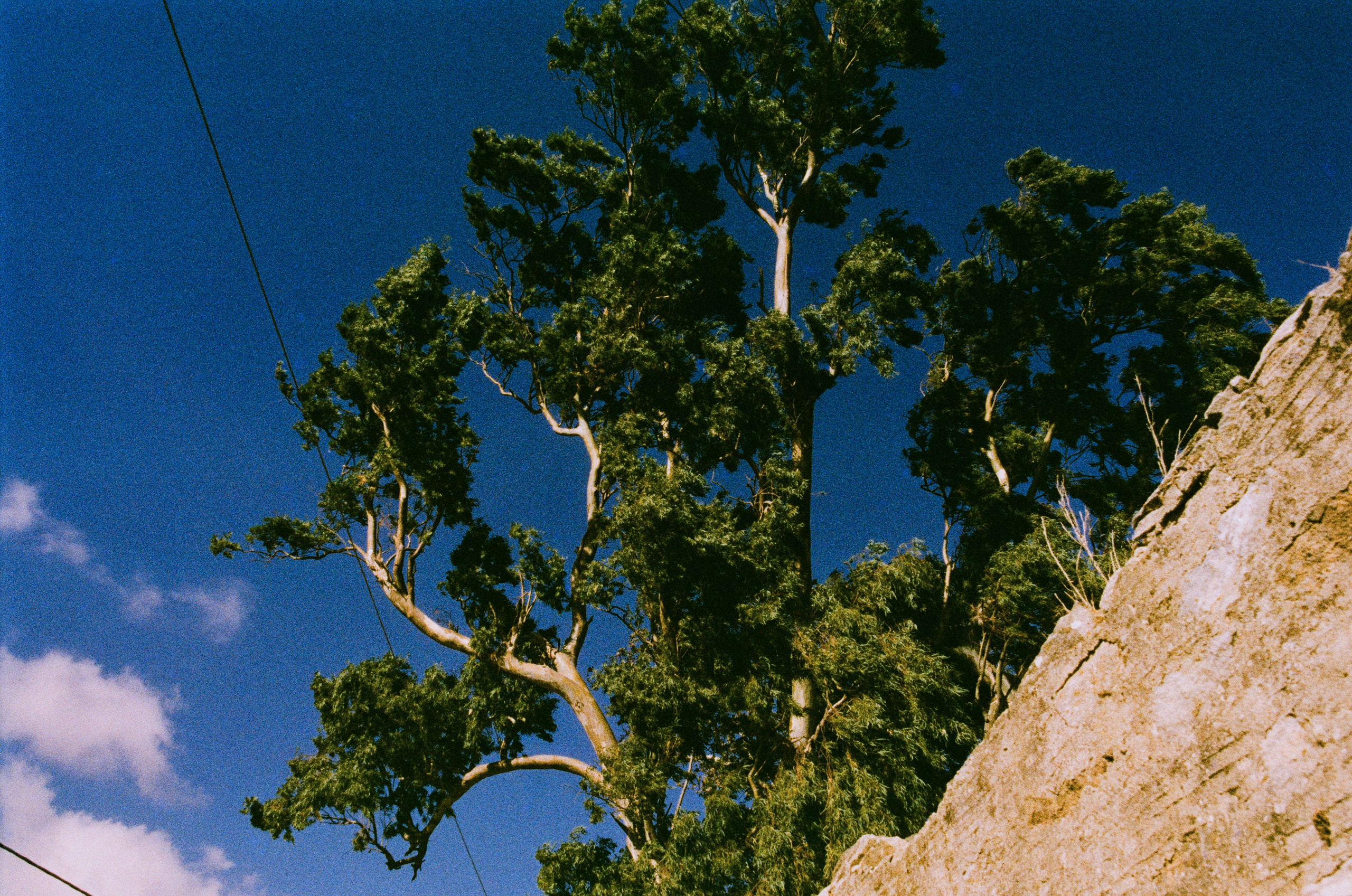 Shimmering scars // greece, naxos V. EVER EXPOSED