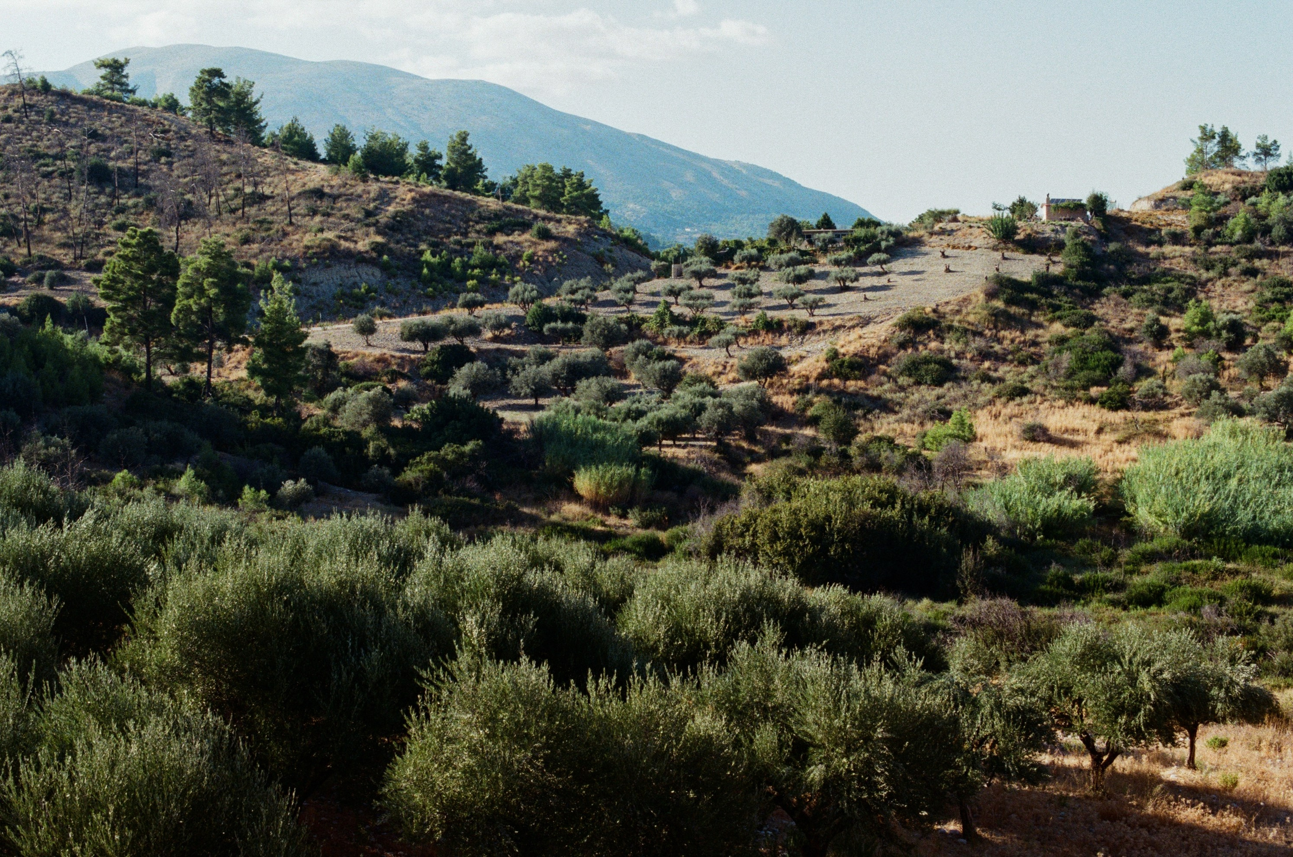 The sickness in you and i // greece, rhodes III. EVER EXPOSED