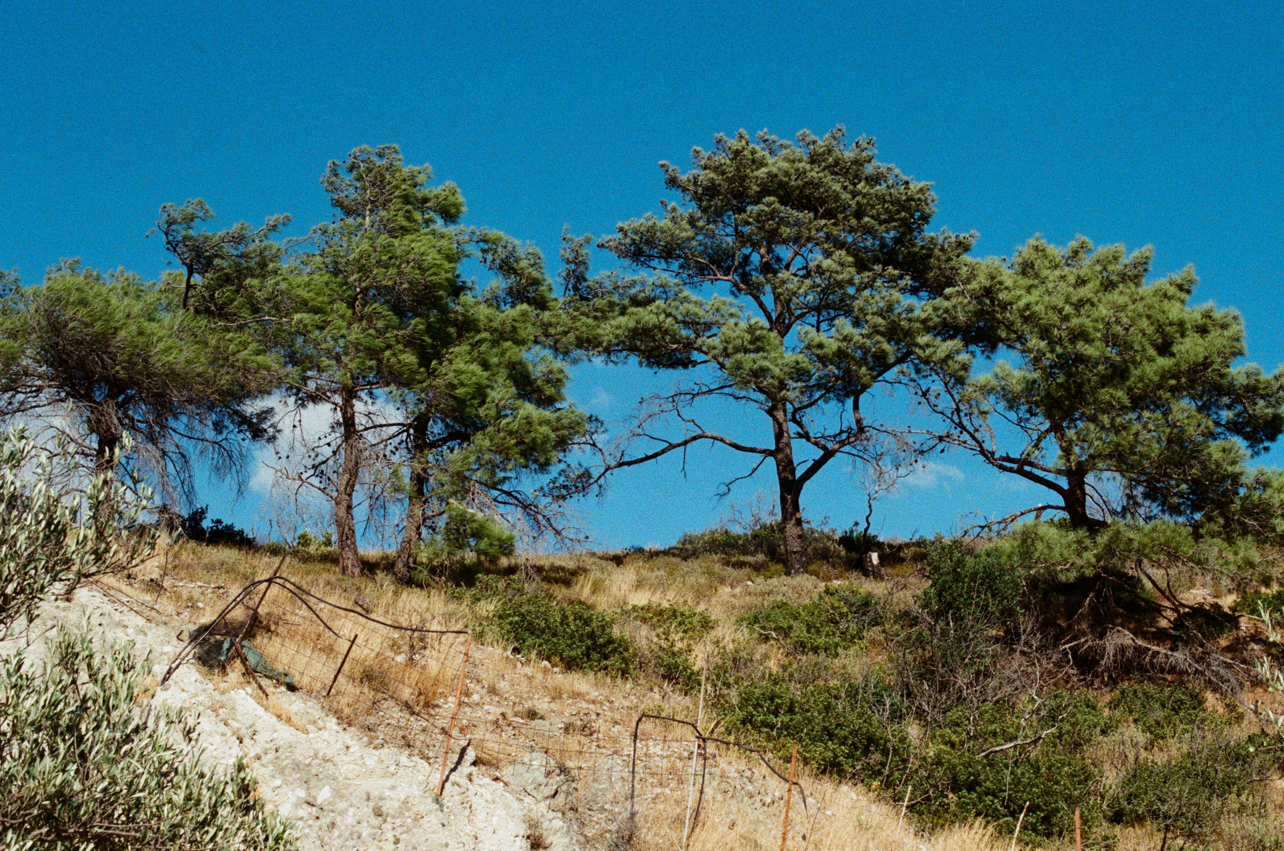The sickness in you and i // greece, rhodes III. EVER EXPOSED