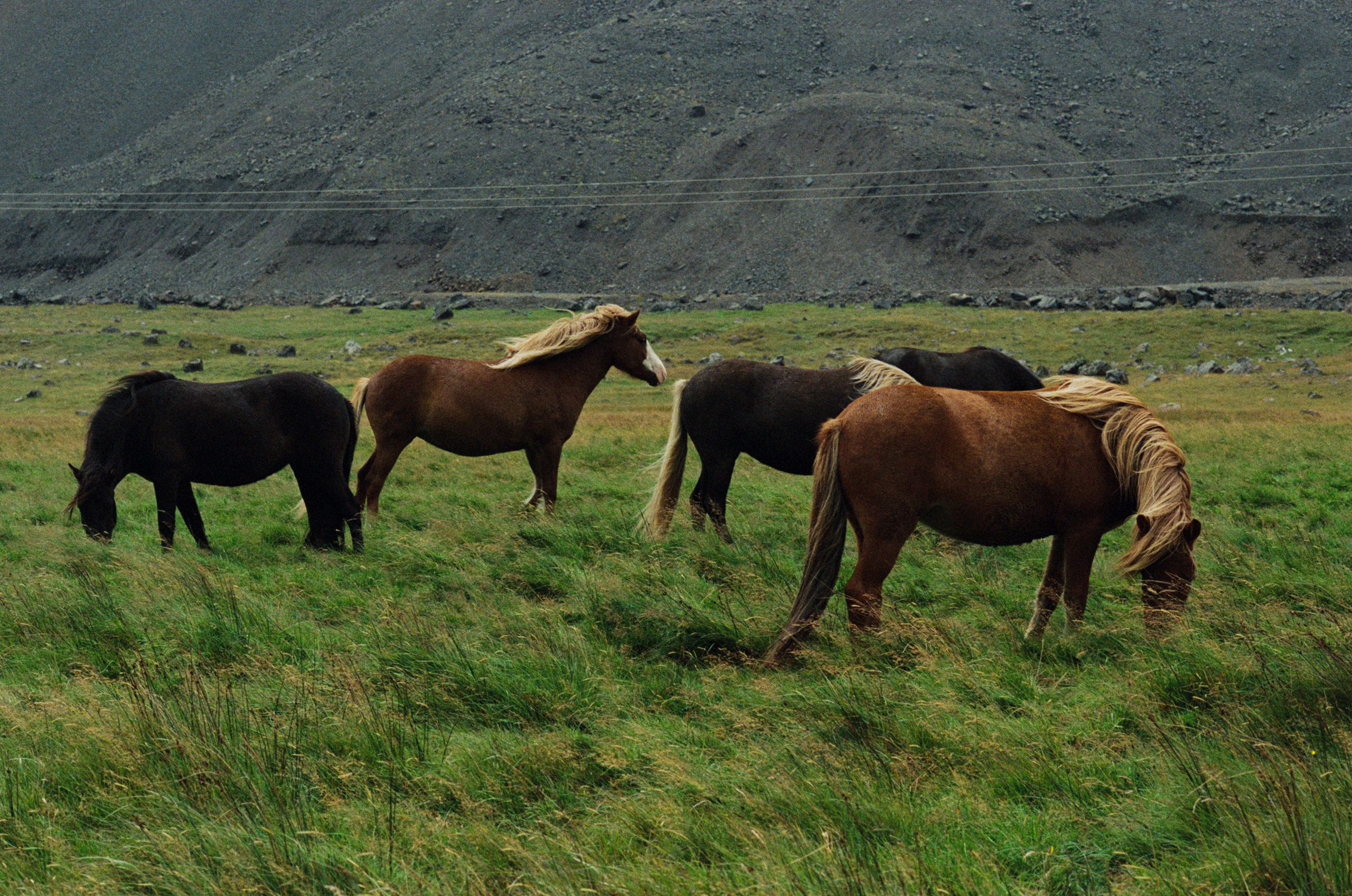 I of the storm // iceland, stokksnes. EVER EXPOSED