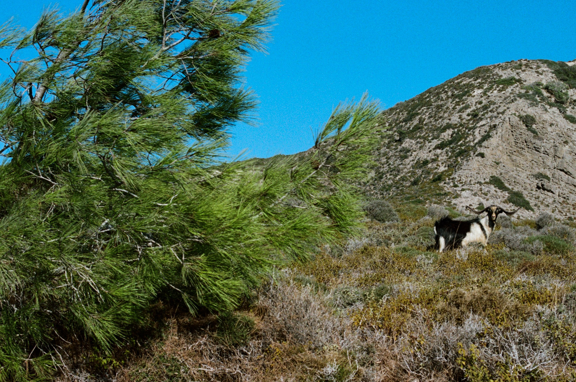Cryogen // greece, rhodes III. EVER EXPOSED