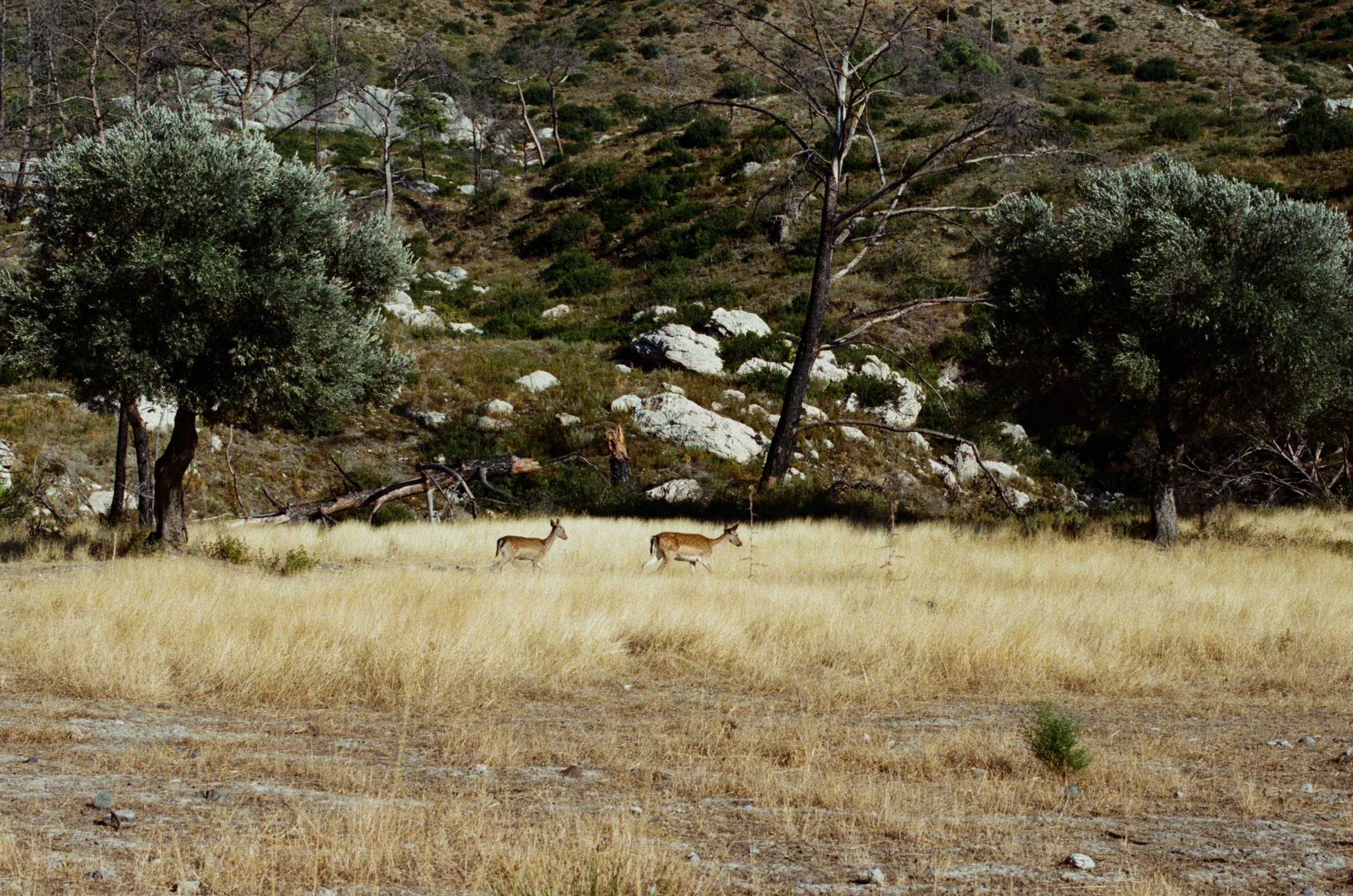 Hush // greece, rhodes II. EVER EXPOSED