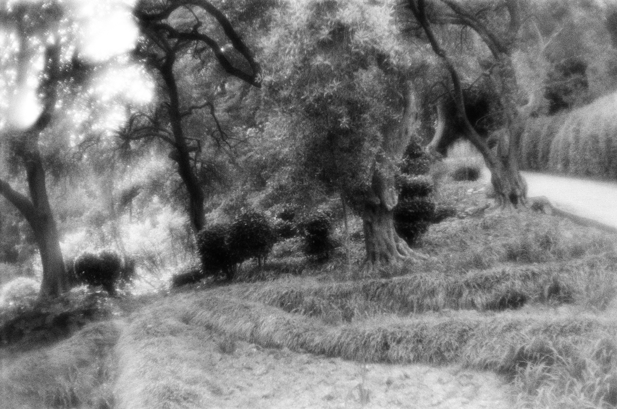 True believers // crimea. EVER EXPOSED