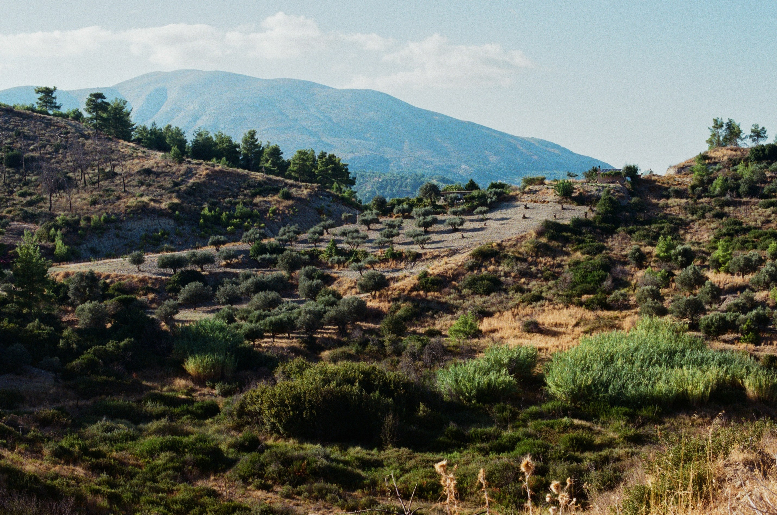 Hush // greece, rhodes II. EVER EXPOSED
