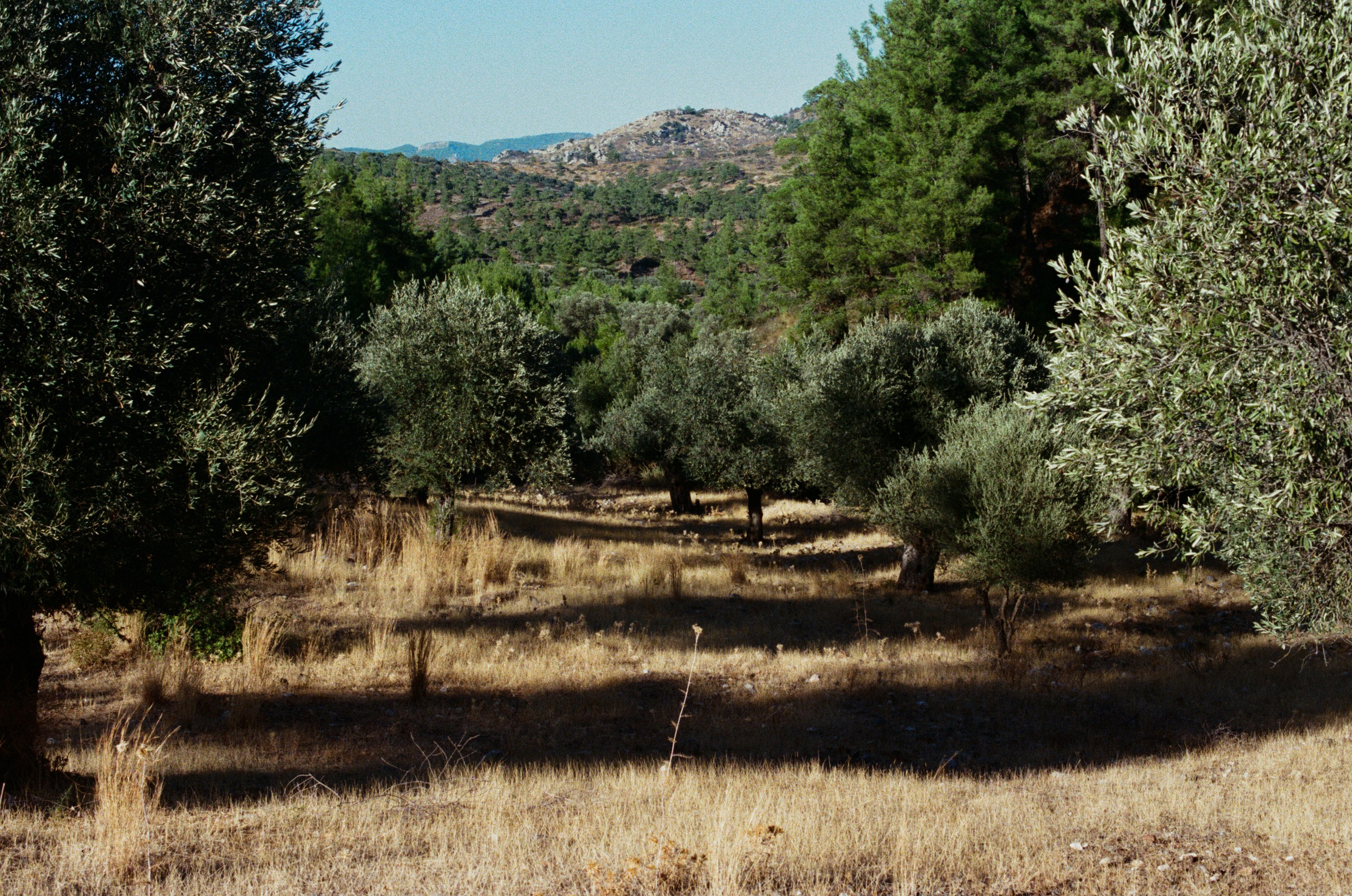 Hush // greece, rhodes IV. EVER EXPOSED