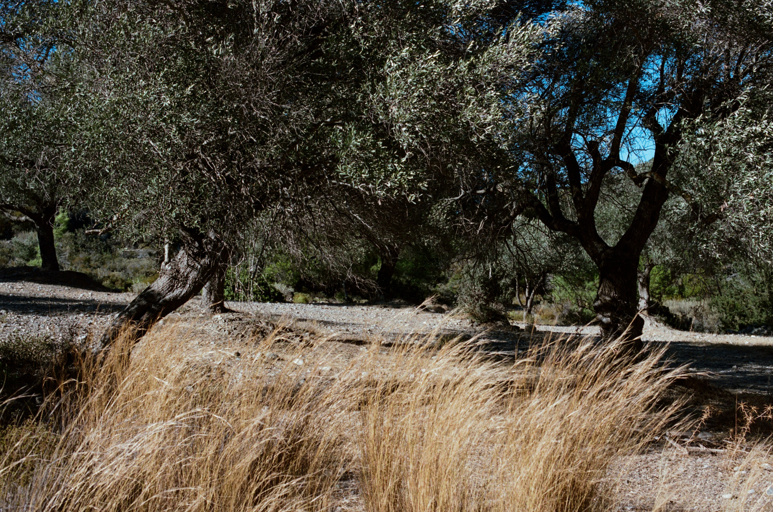 The sickness in you and i // greece, rhodes V. EVER EXPOSED