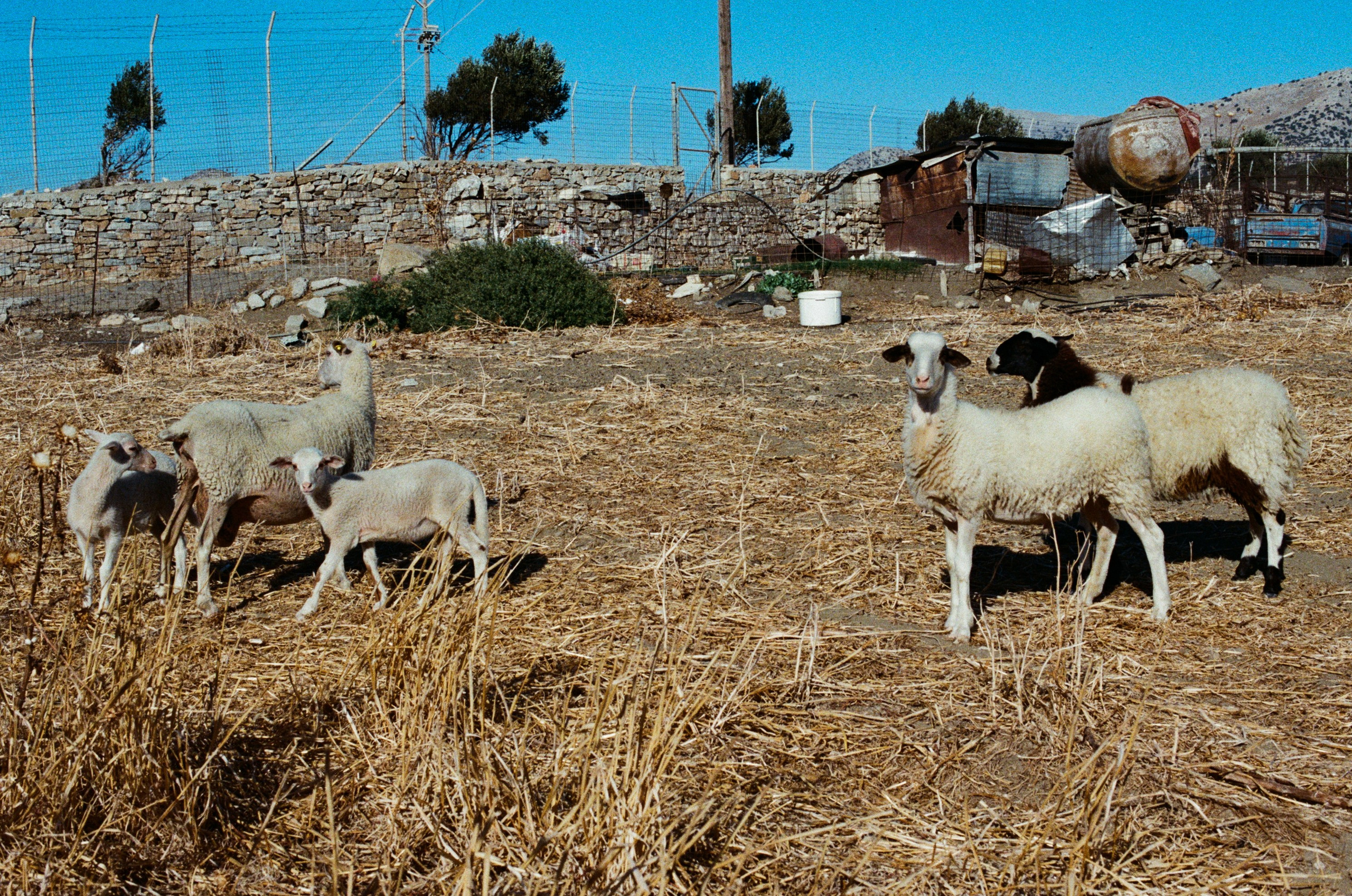 Shimmering scars // greece, naxos III. EVER EXPOSED