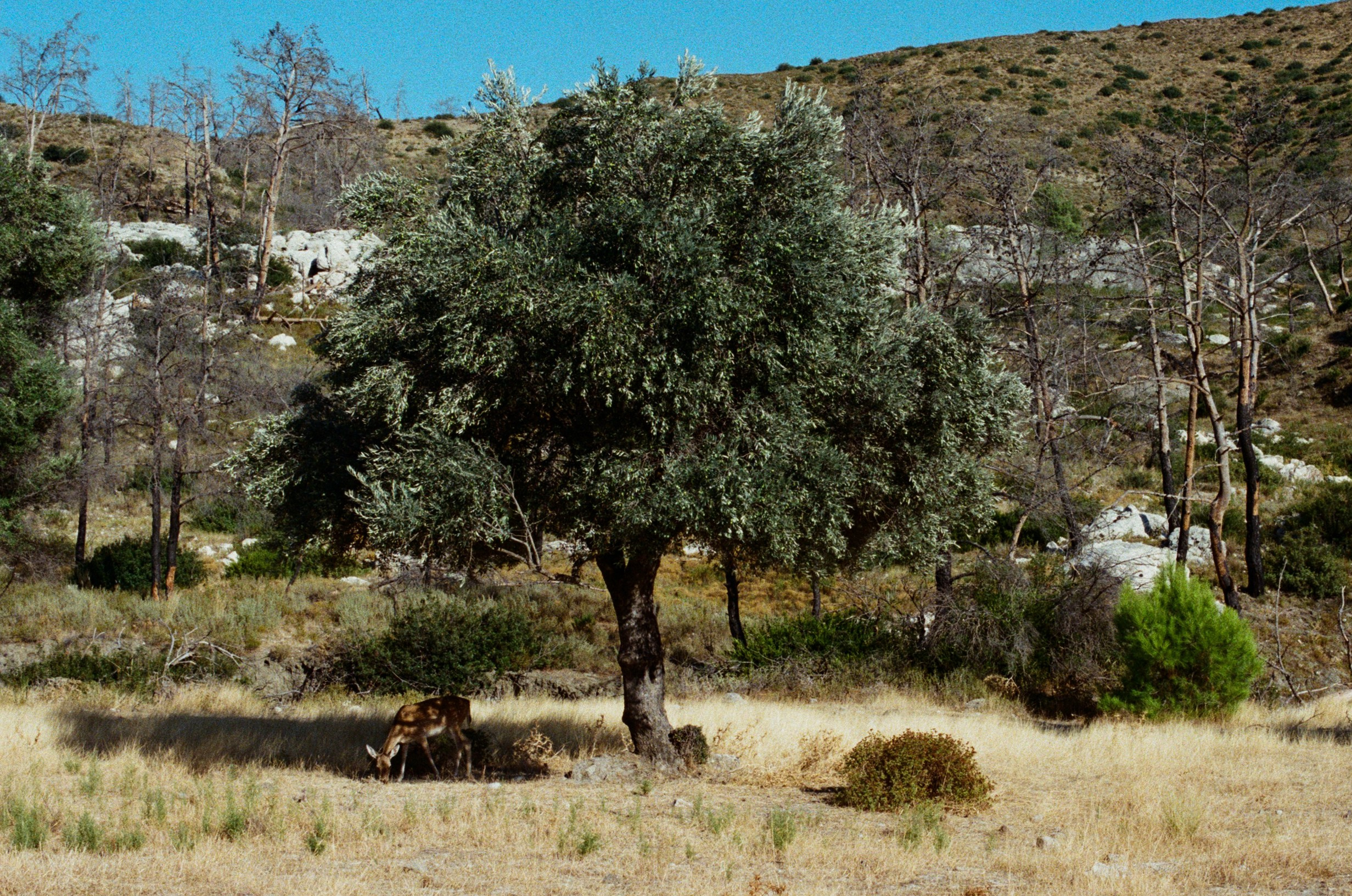 The sickness in you and i // greece, rhodes III. EVER EXPOSED
