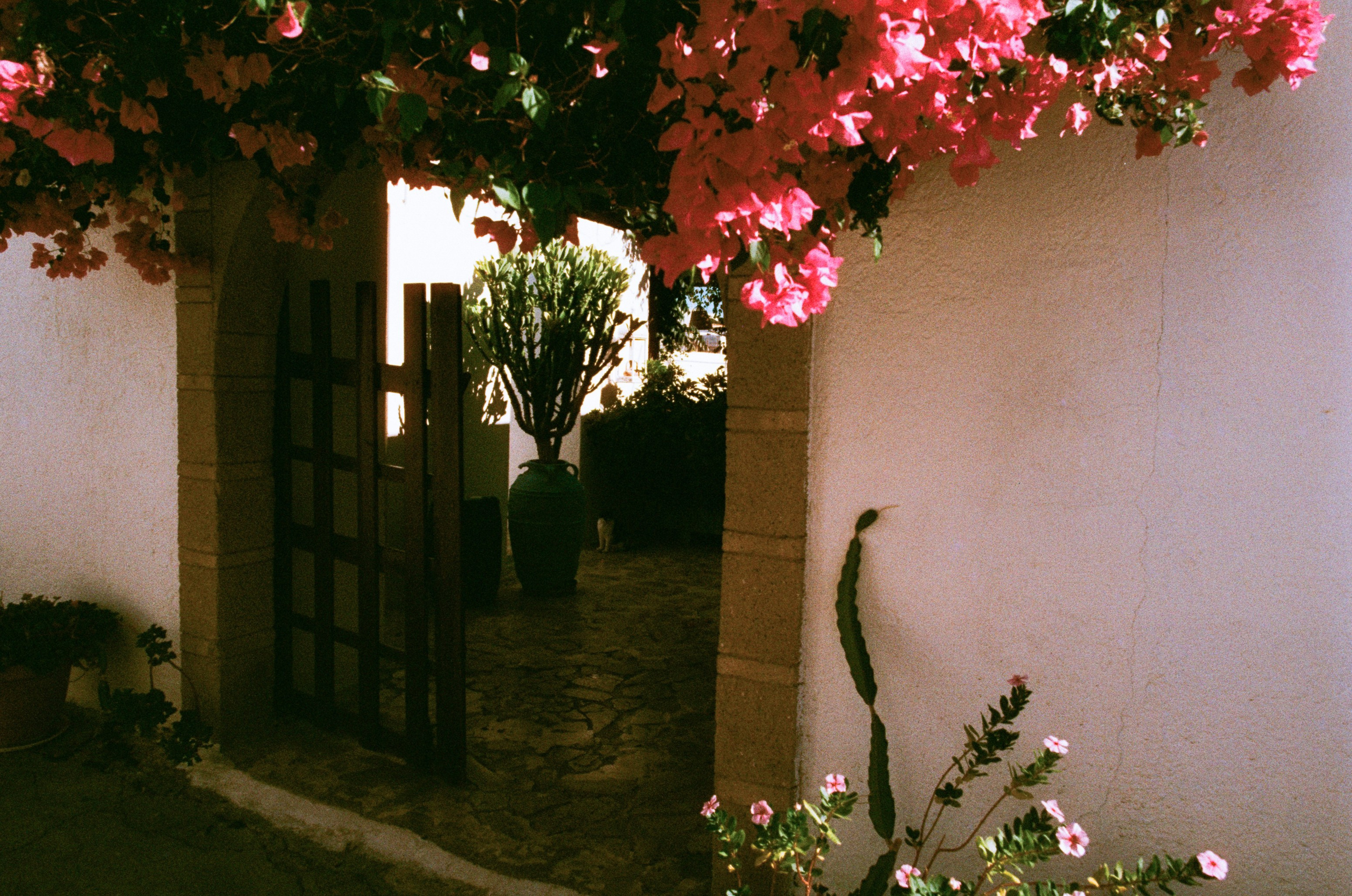 The sickness in you and i // greece, rhodes II. EVER EXPOSED