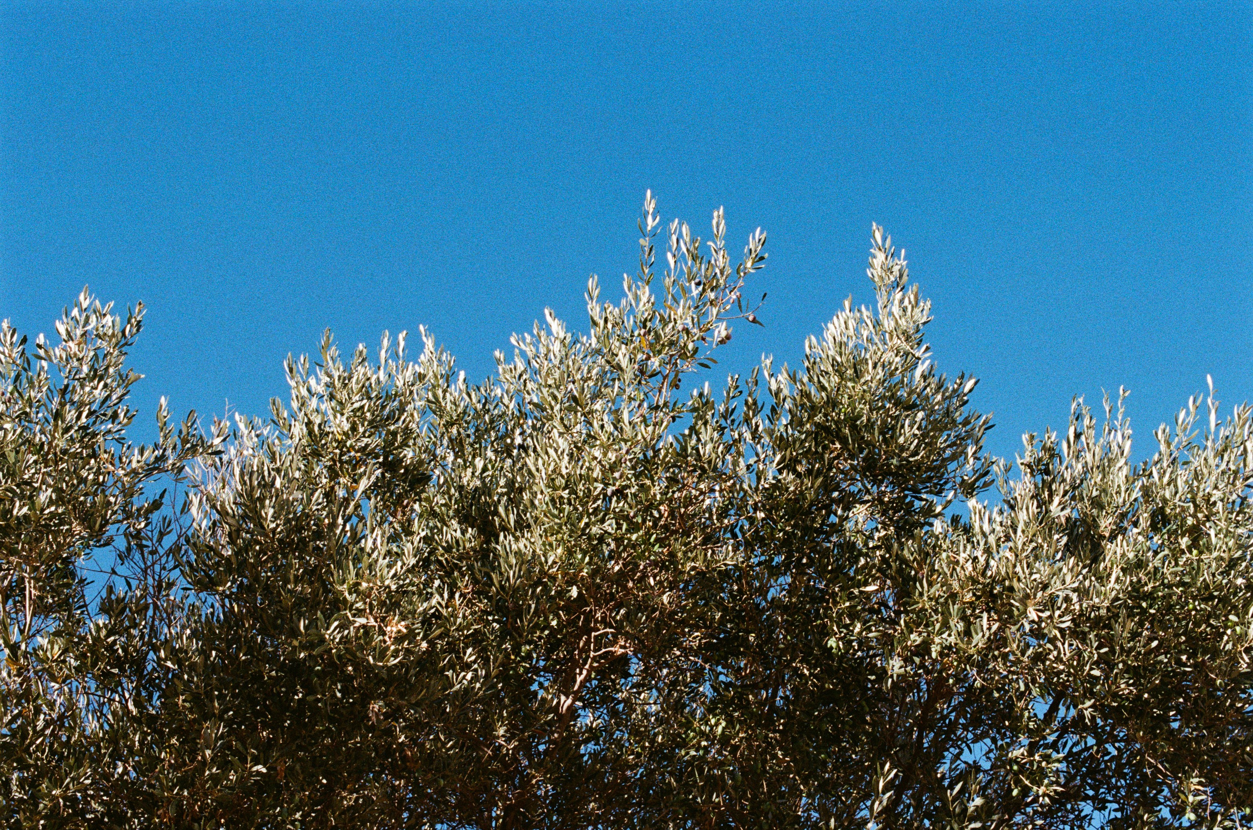 Shimmering scars // greece, naxos IV. EVER EXPOSED