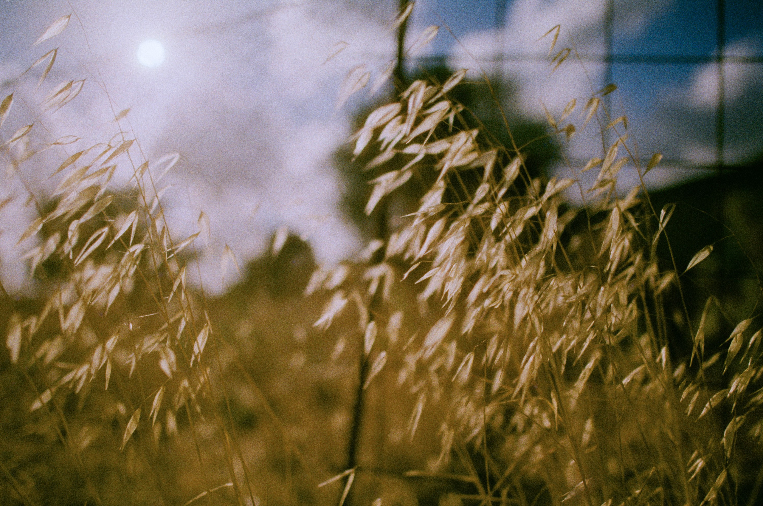 Shimmering scars // greece, naxos V. EVER EXPOSED
