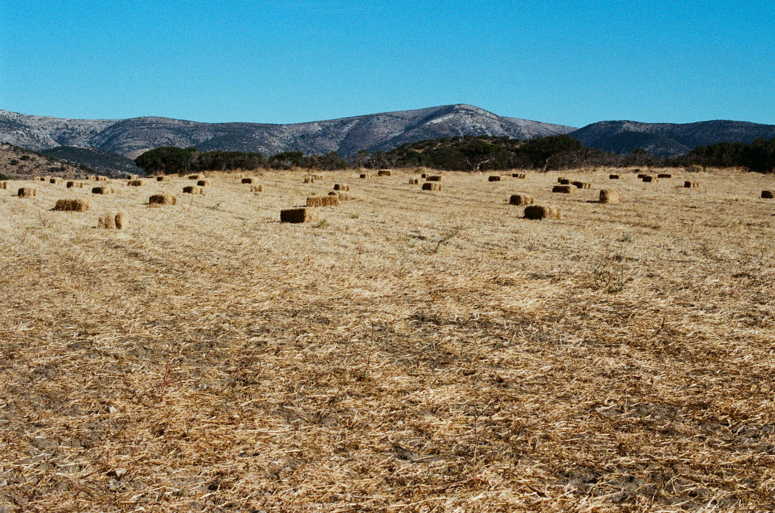 Shimmering scars // greece, naxos IV. EVER EXPOSED