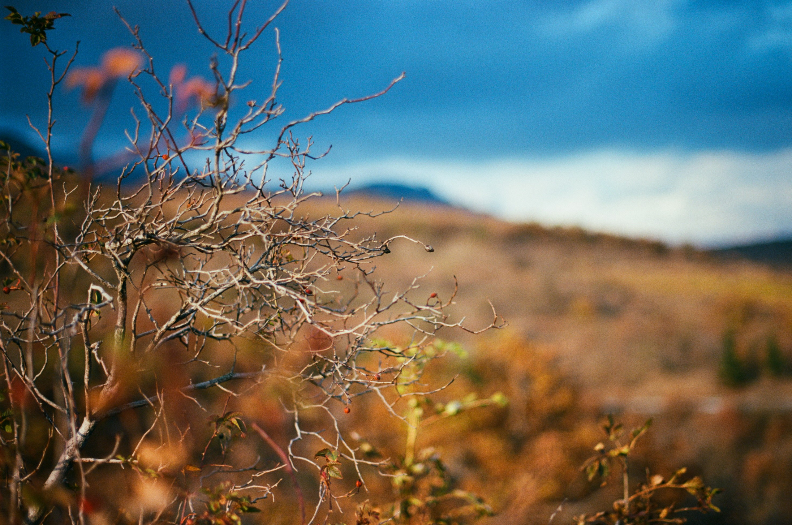 Wherever you will go // ukraine, crimea II. EVER EXPOSED