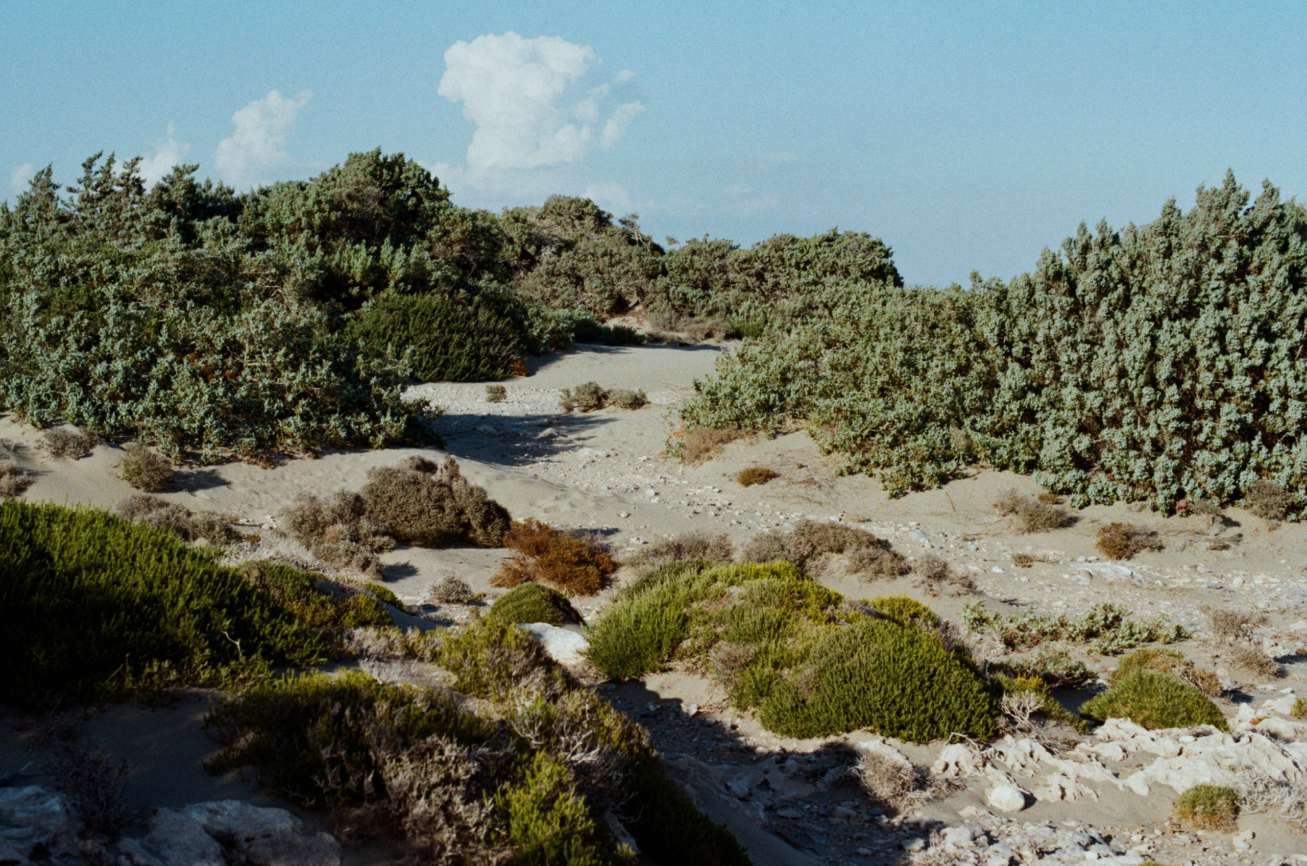 Cryogen // greece, rhodes II. EVER EXPOSED