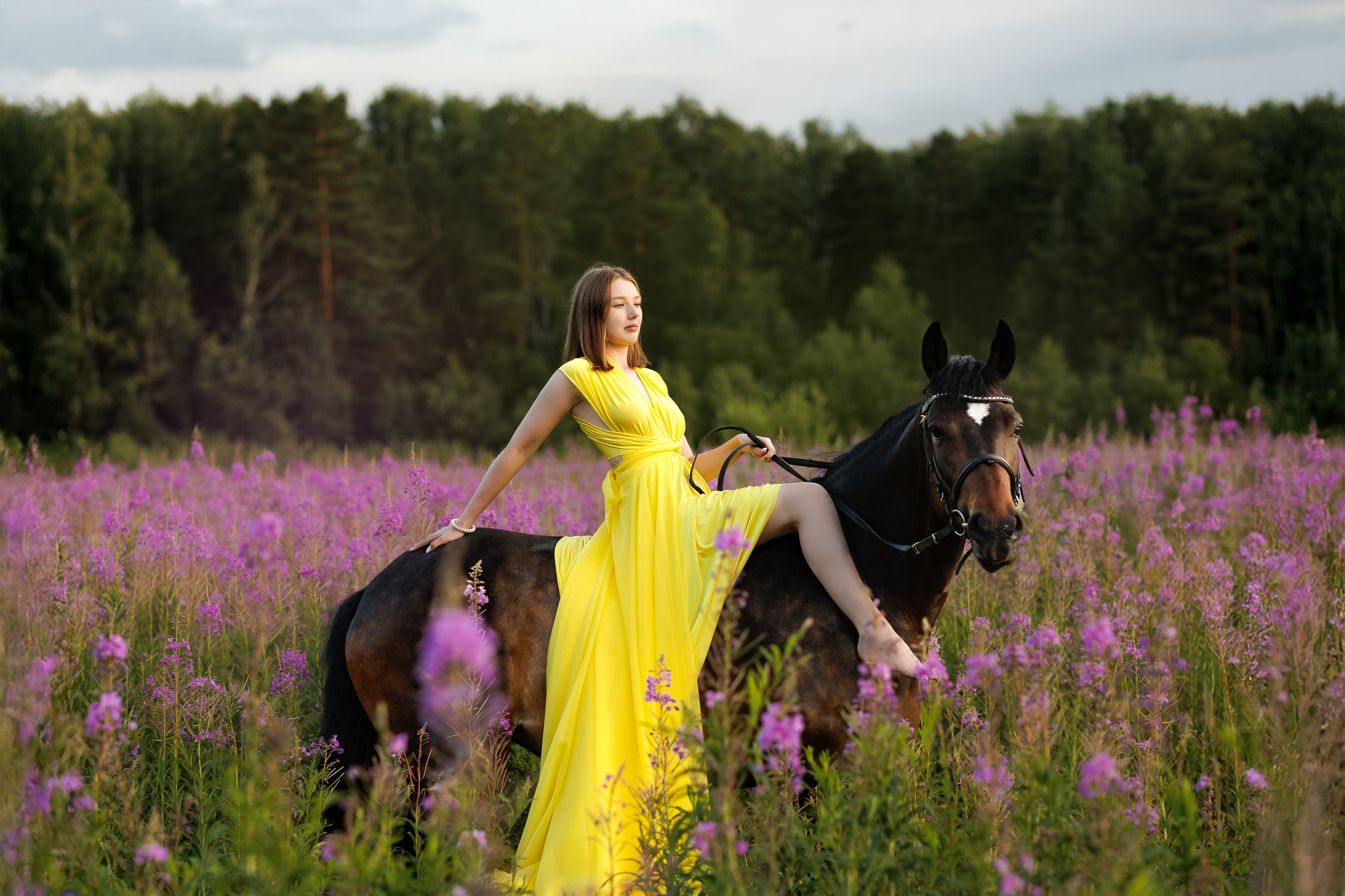 Фотосессия с лошадью в поле