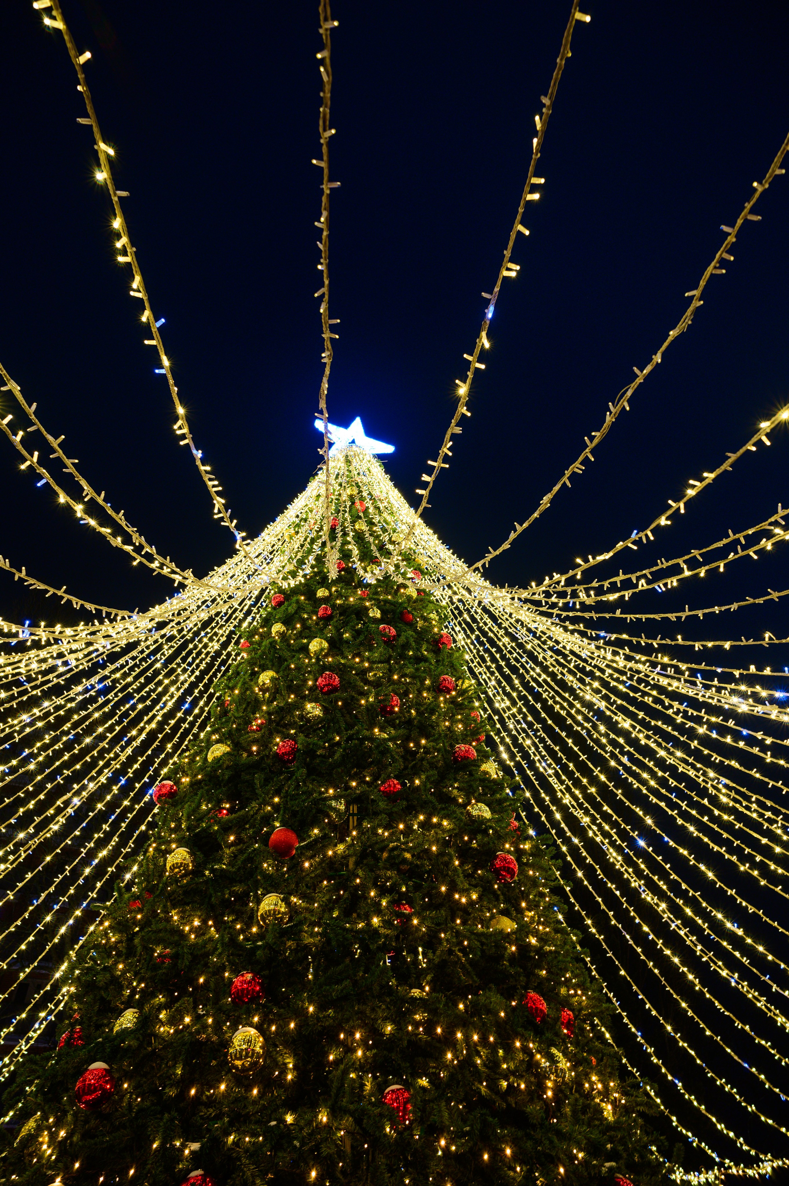 Зимняя Калининградская область. Фотосъемка и видеосъемка в Калининграде Liveemotion.pro