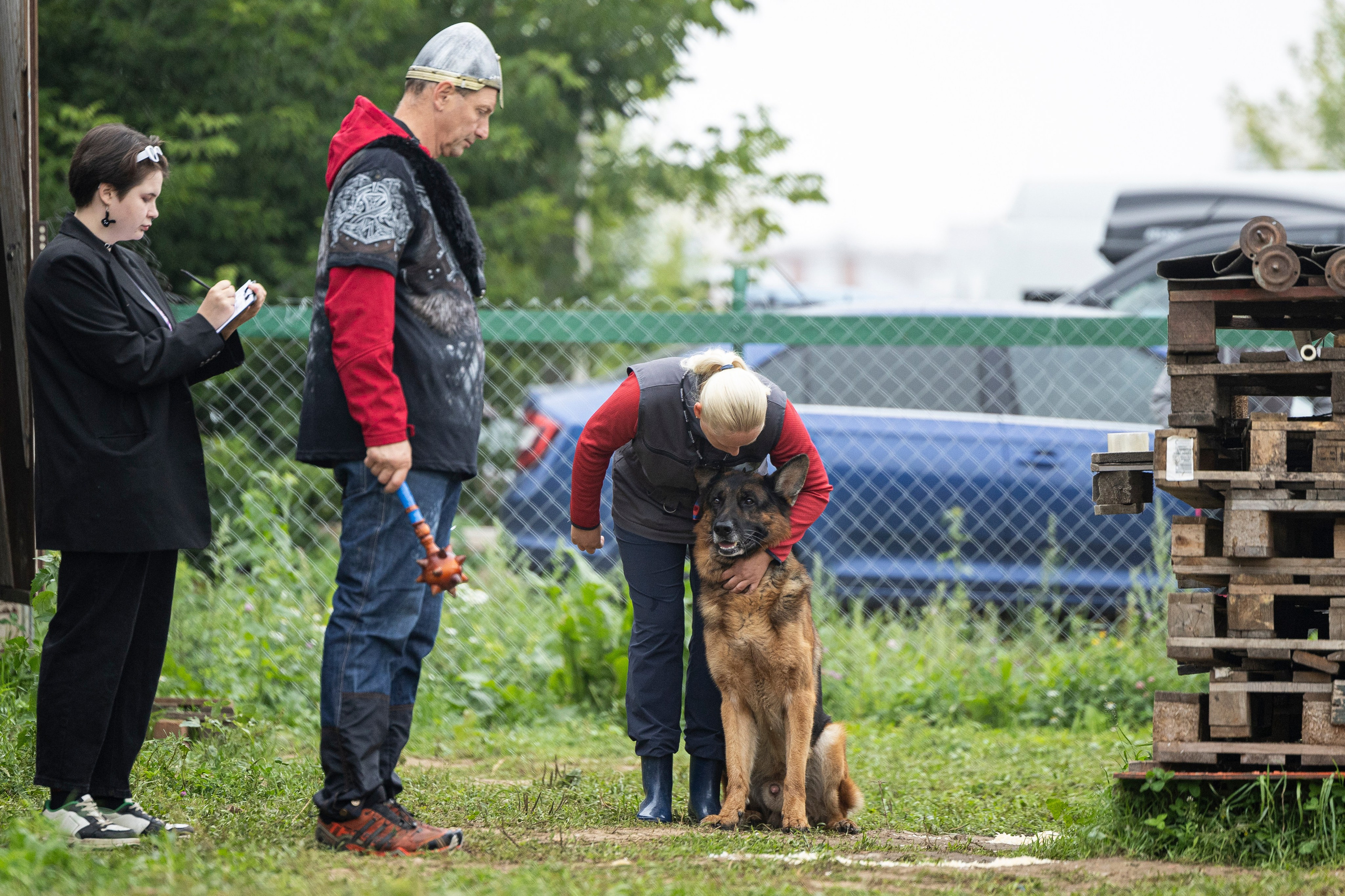 Соревнования по Мондьорингу г. Вологда 10-11.08.2024. Фотограф-анималист Анна Маринич