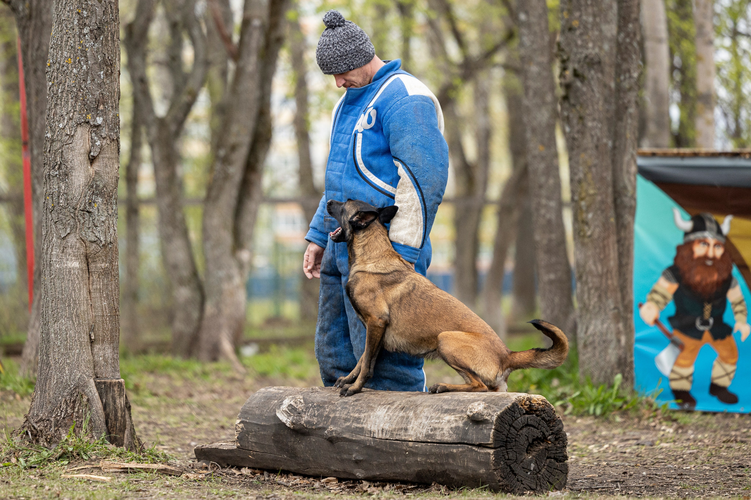 Квалификационные состязания по мондьорингу г. Вологда 11.05.24. Фотограф-анималист Анна Маринич