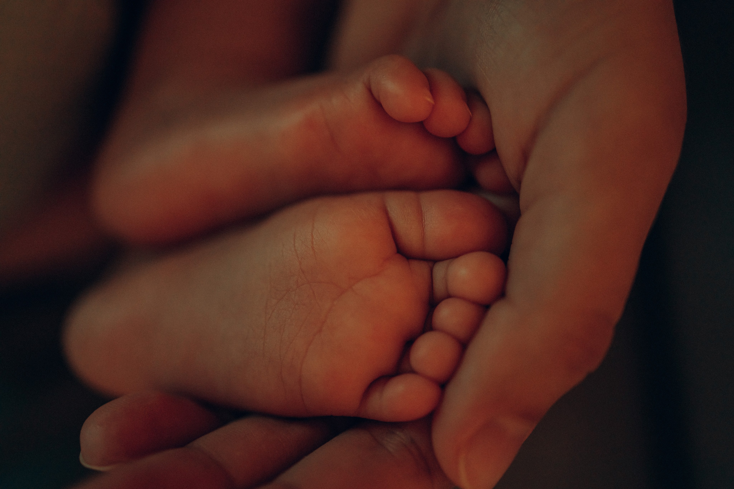 Домашняя фотосессия. Семейный фотограф, фотограф новорожденных в Москве, Анастасия Федяева