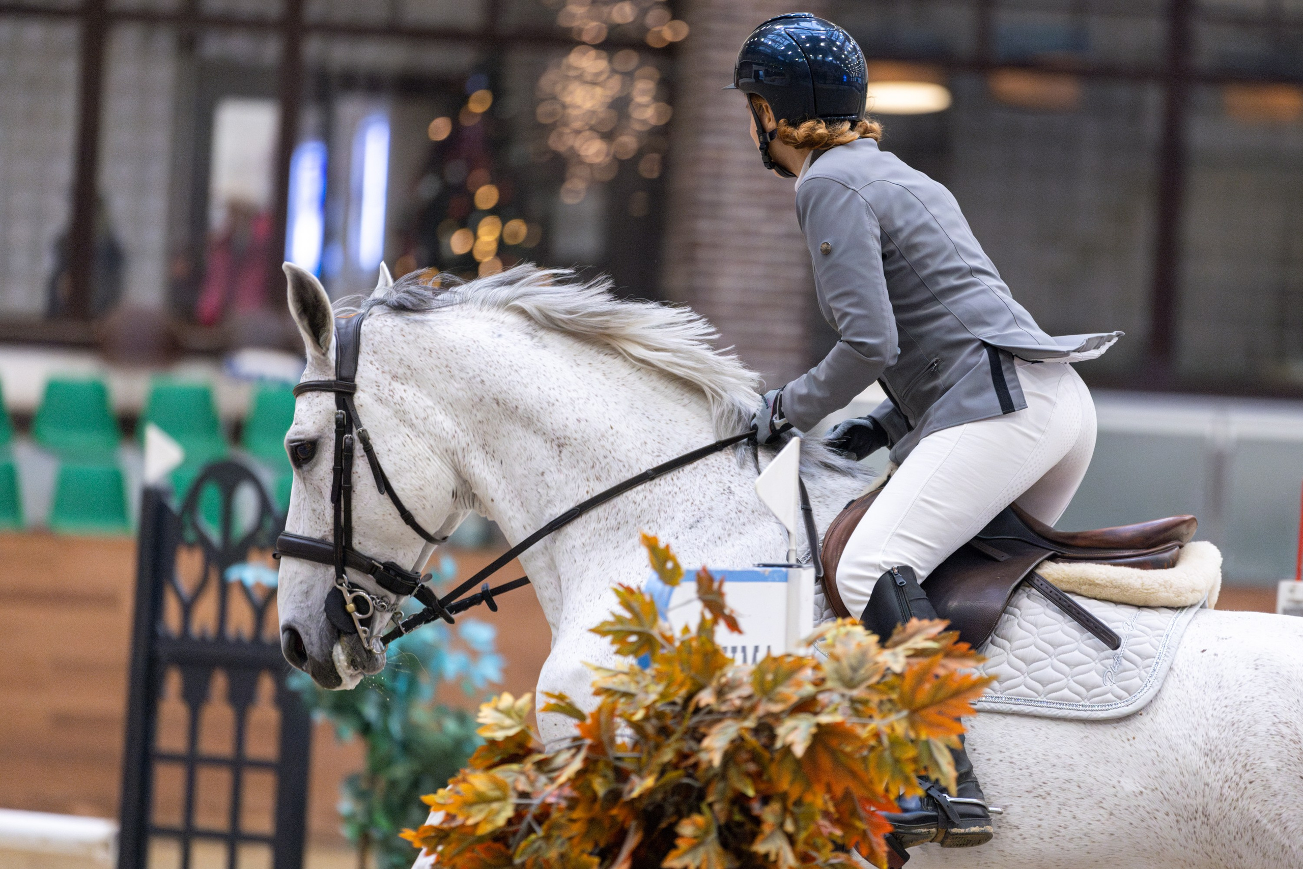 Репортажная съёмка спортивных мероприятий. ESHE_PHOTO Фотограф анималист в Москве и Московской области